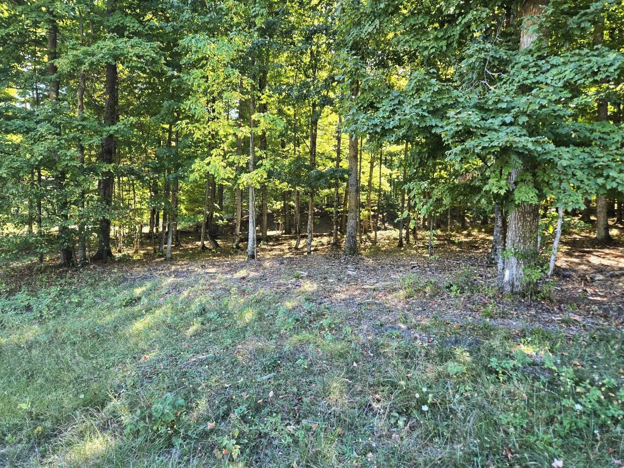 003 Heather Ridge Trail Homestead Township MI 49617