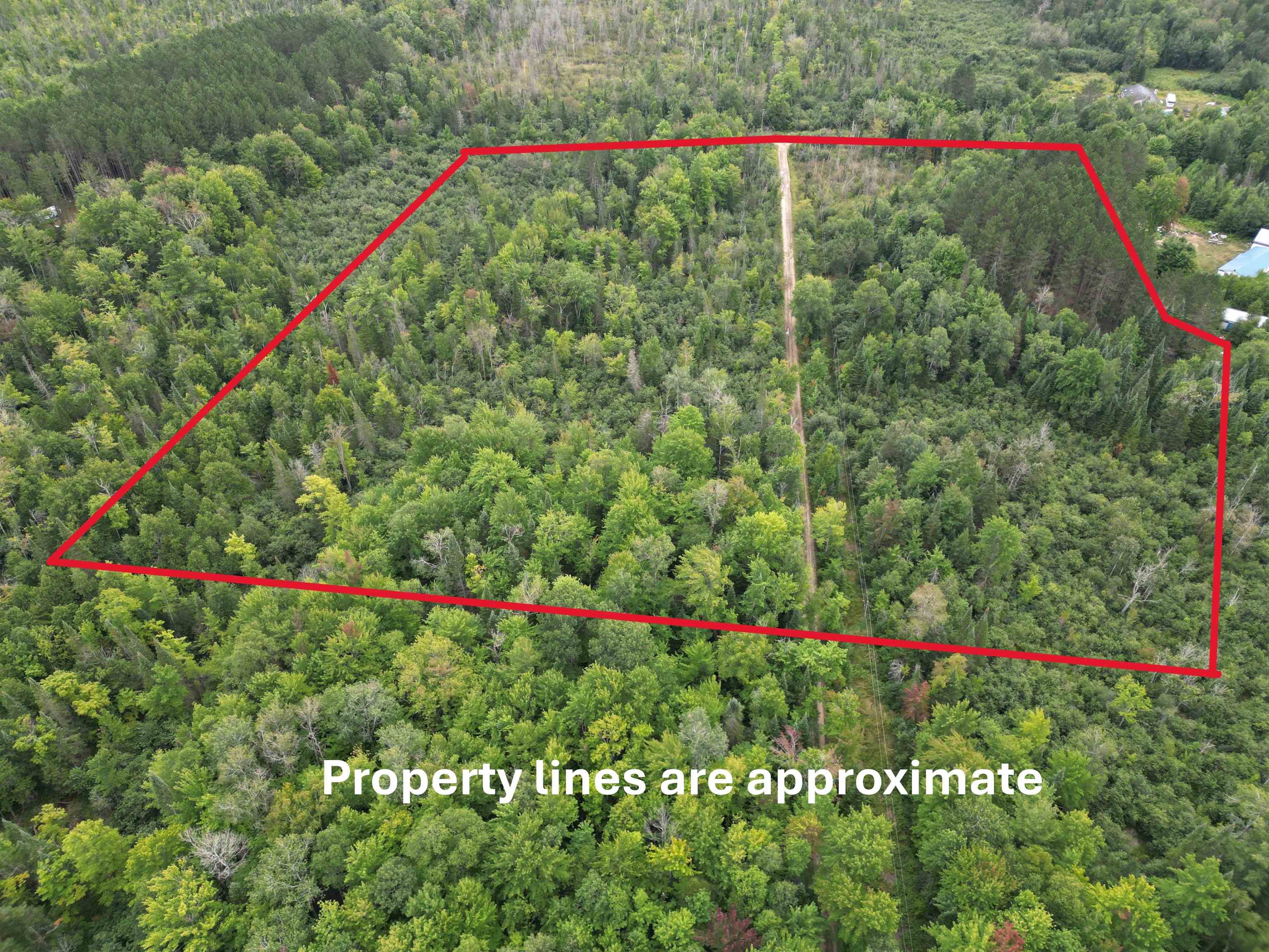 10.11 Acres Golden Road, SE Orange Township MI 49646