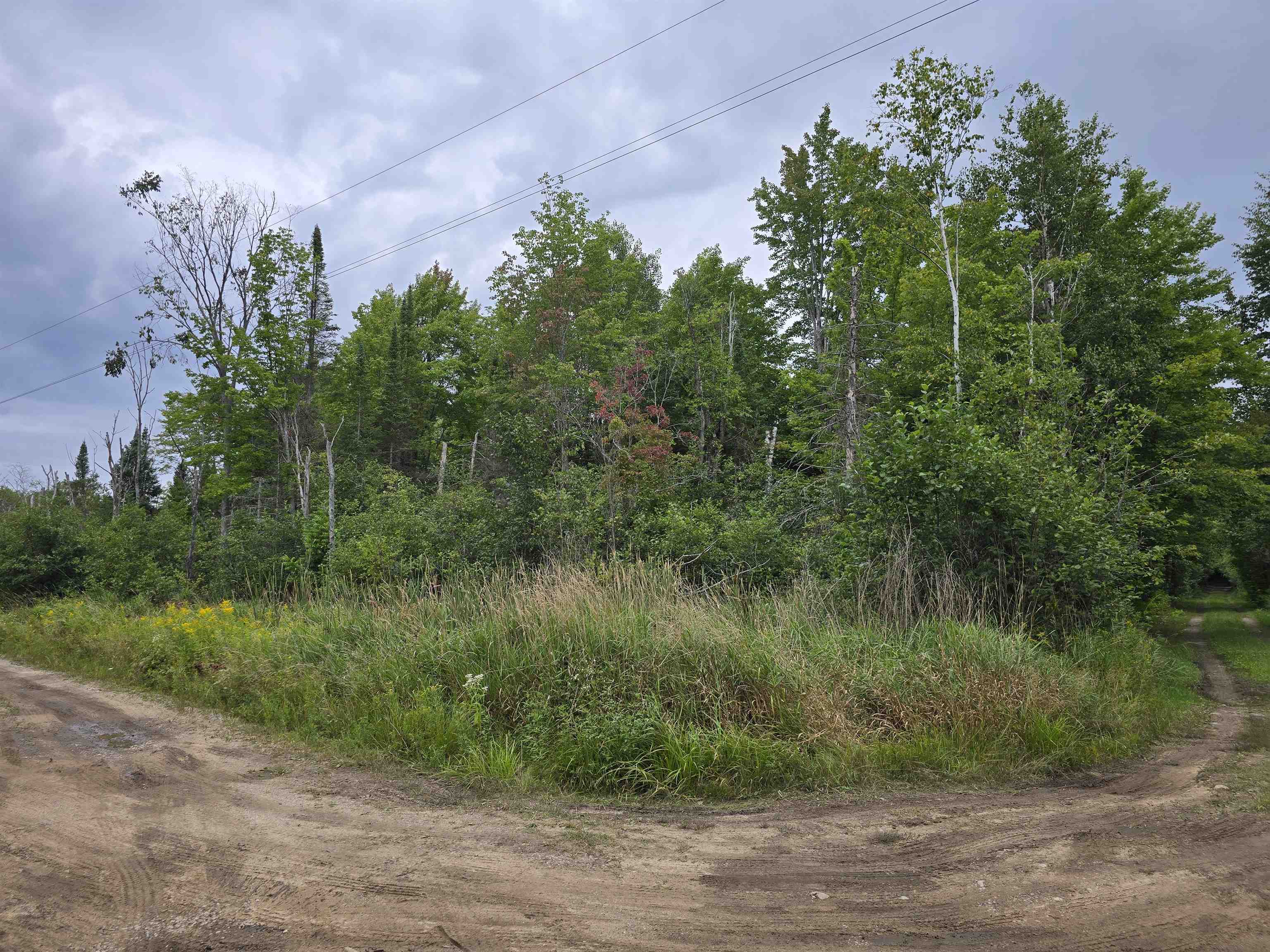 10.11 Acres Golden Road, SE Orange Township MI 49646
