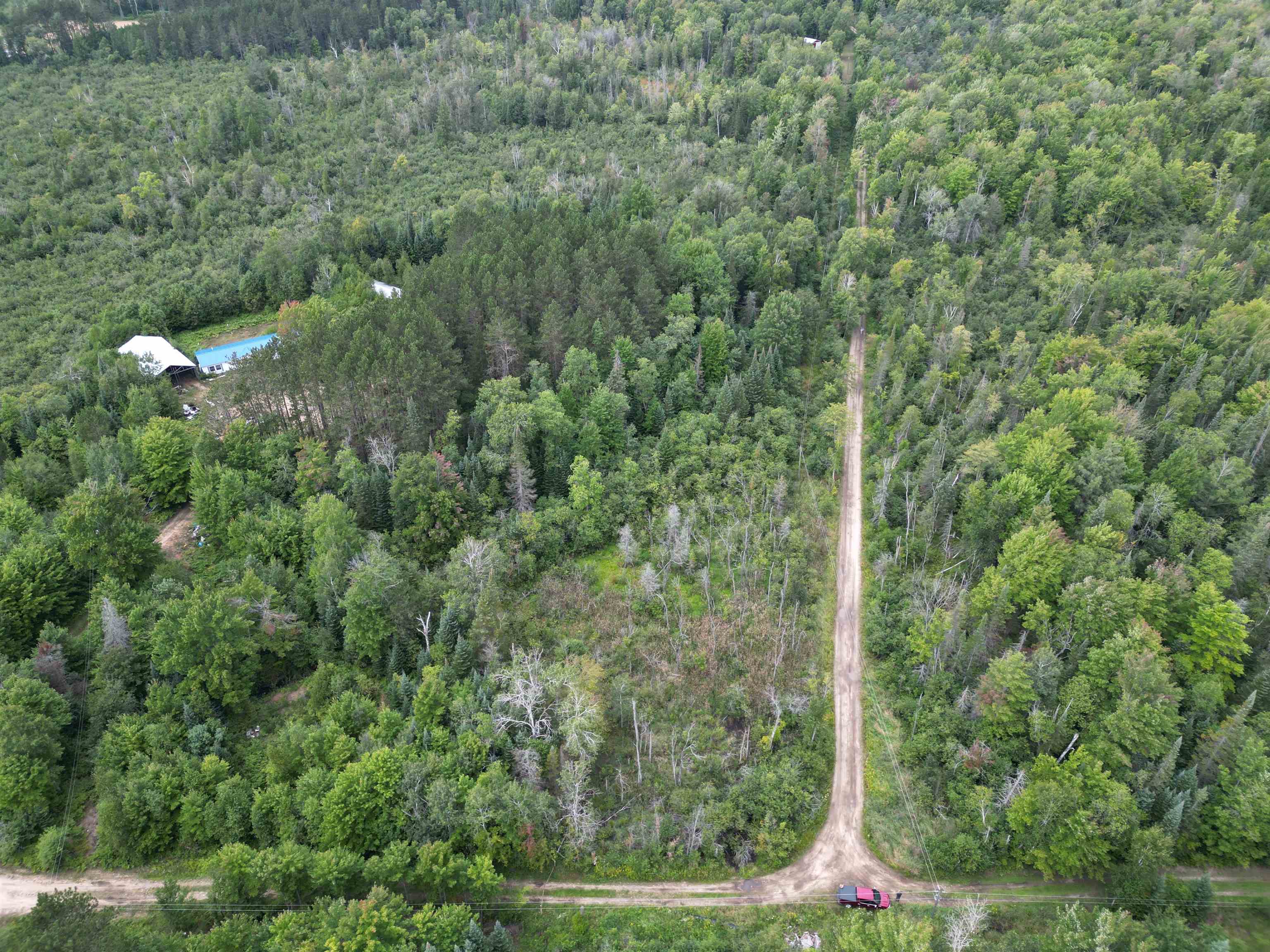 10.11 Acres Golden Road, SE Orange Township MI 49646