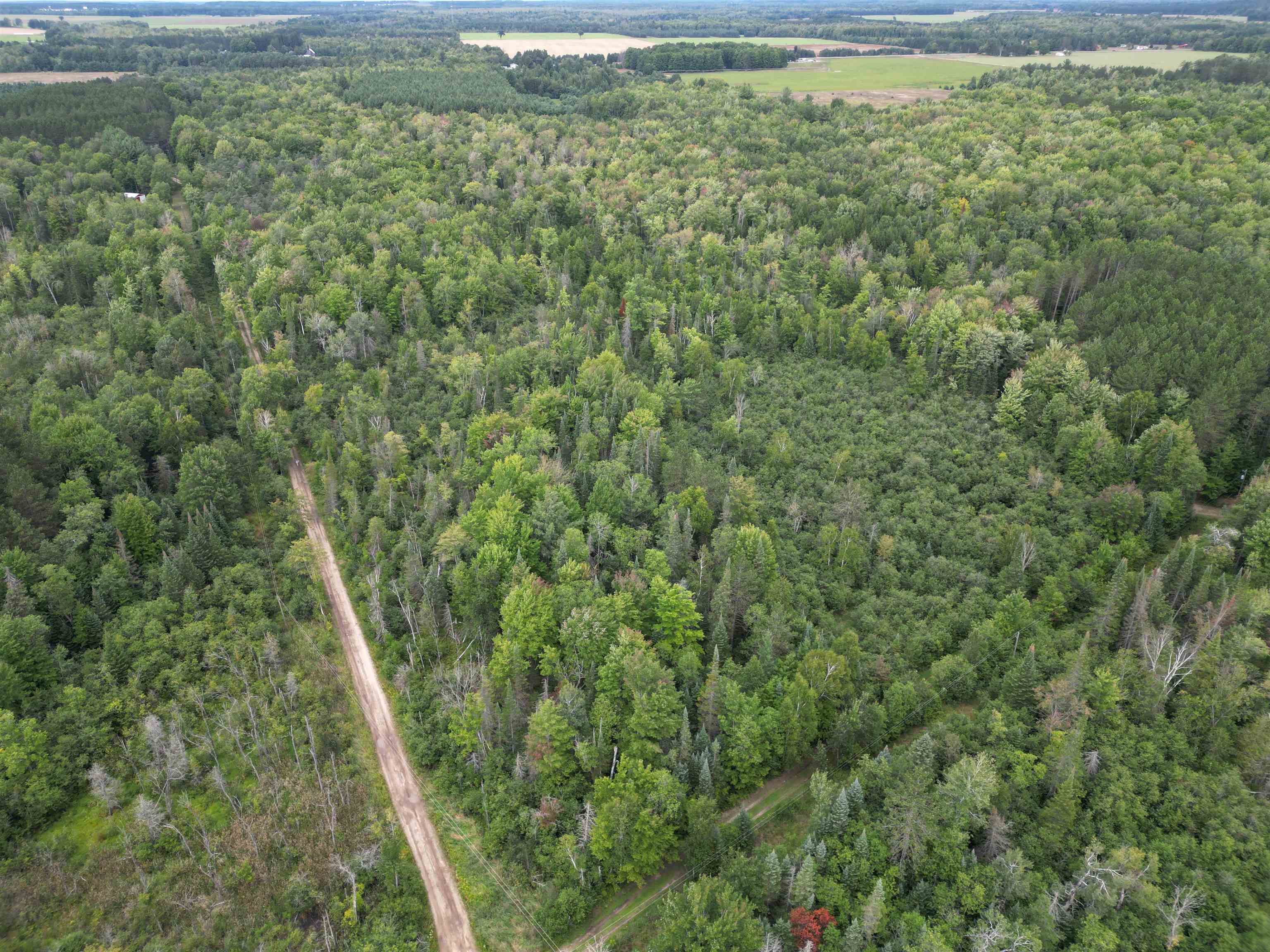10.11 Acres Golden Road, SE Orange Township MI 49646