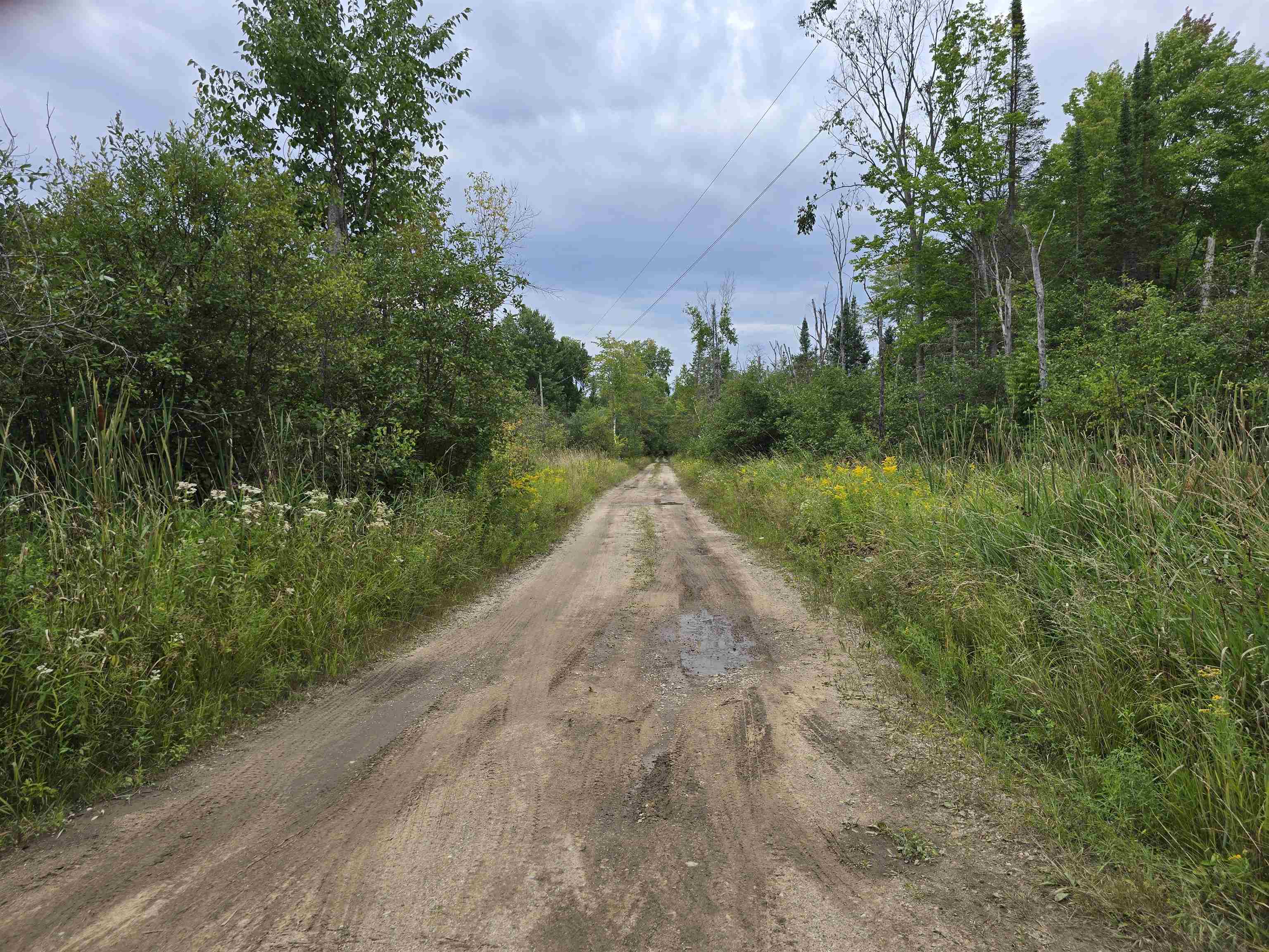 10.11 Acres Golden Road, SE Orange Township MI 49646