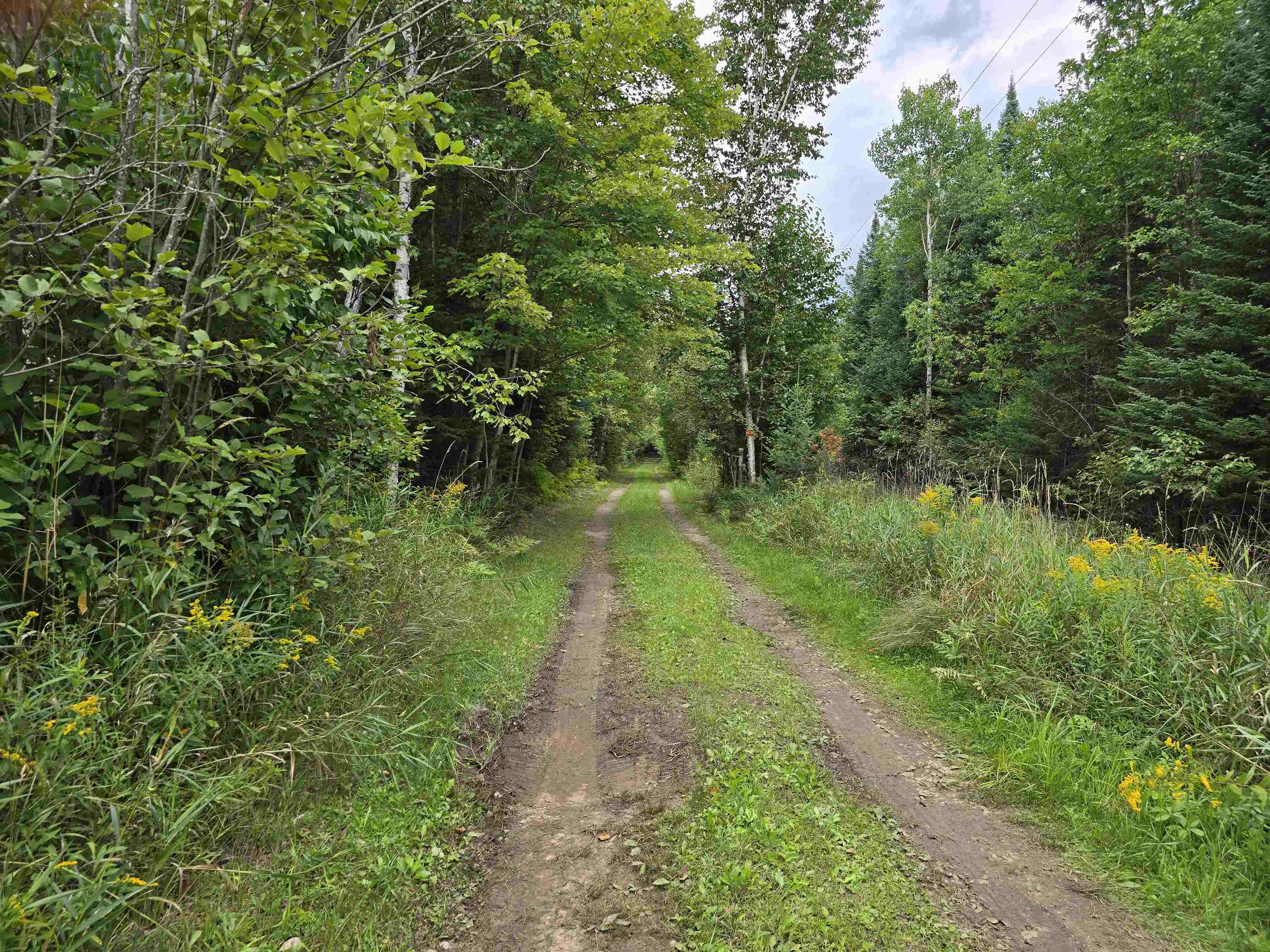 10.11 Acres Golden Road, SE Orange Township MI 49646
