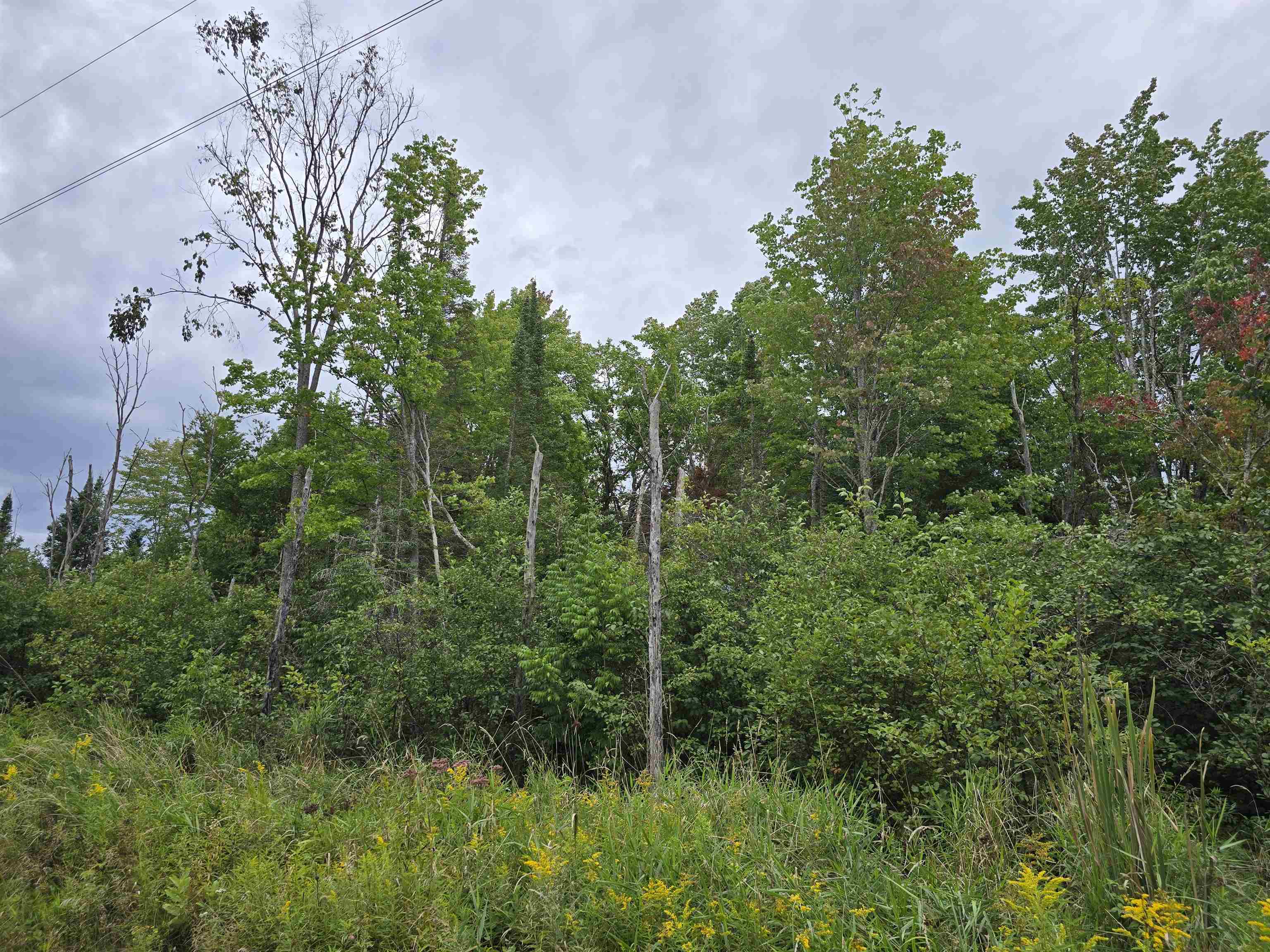 10.11 Acres Golden Road, SE Orange Township MI 49646