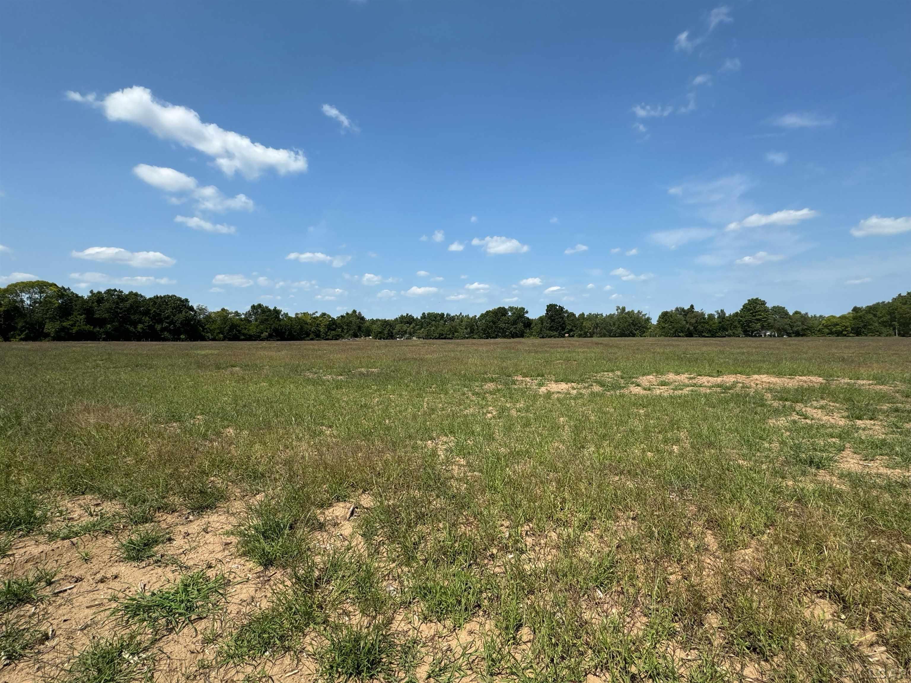 2000 Blk Sutton Road Raisin Township MI 49221