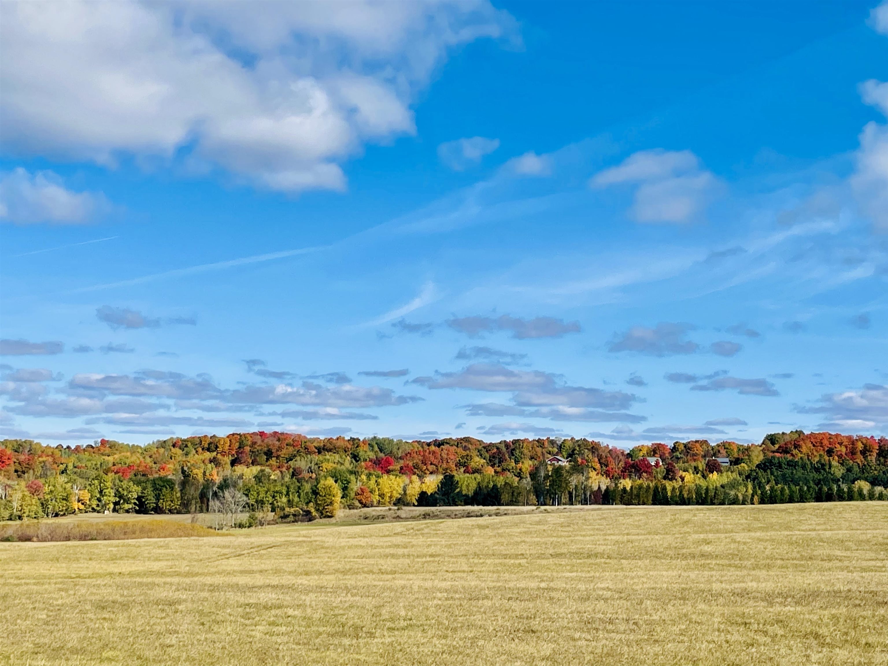 0000 Zawora Road Milton Township MI 49648