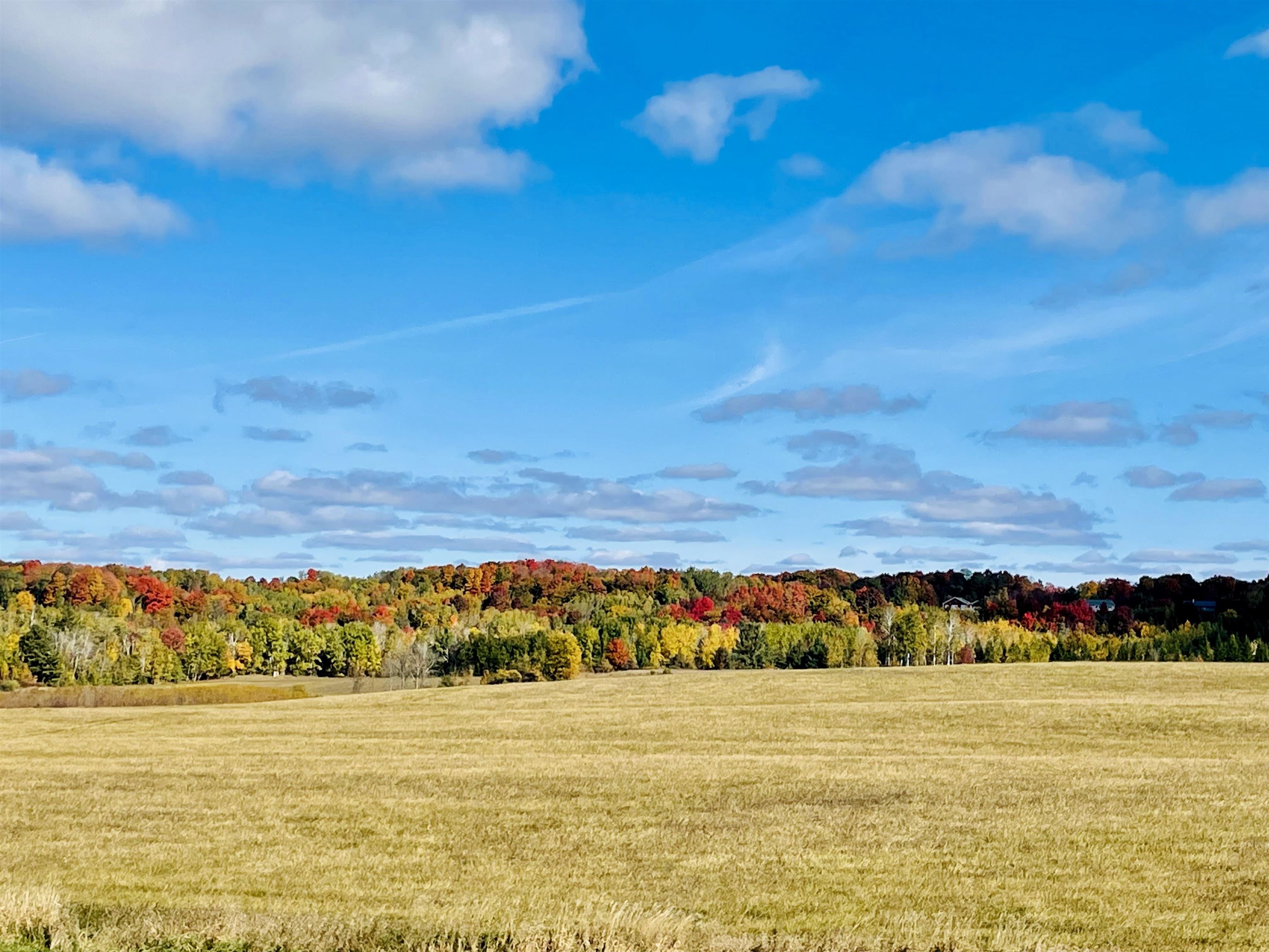0000 Zawora Road Milton Township MI 49648