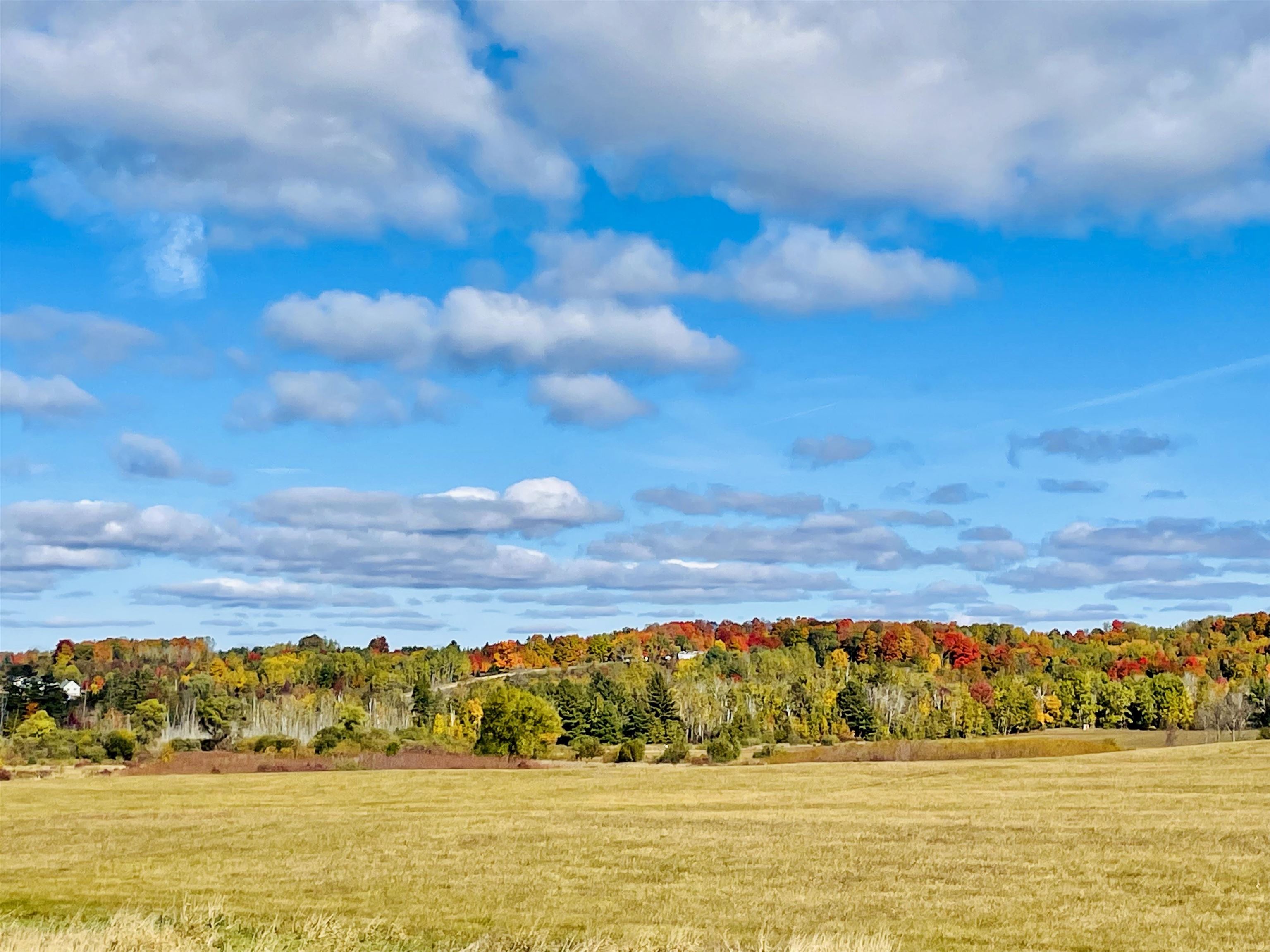 0000 Zawora Road Milton Township MI 49648