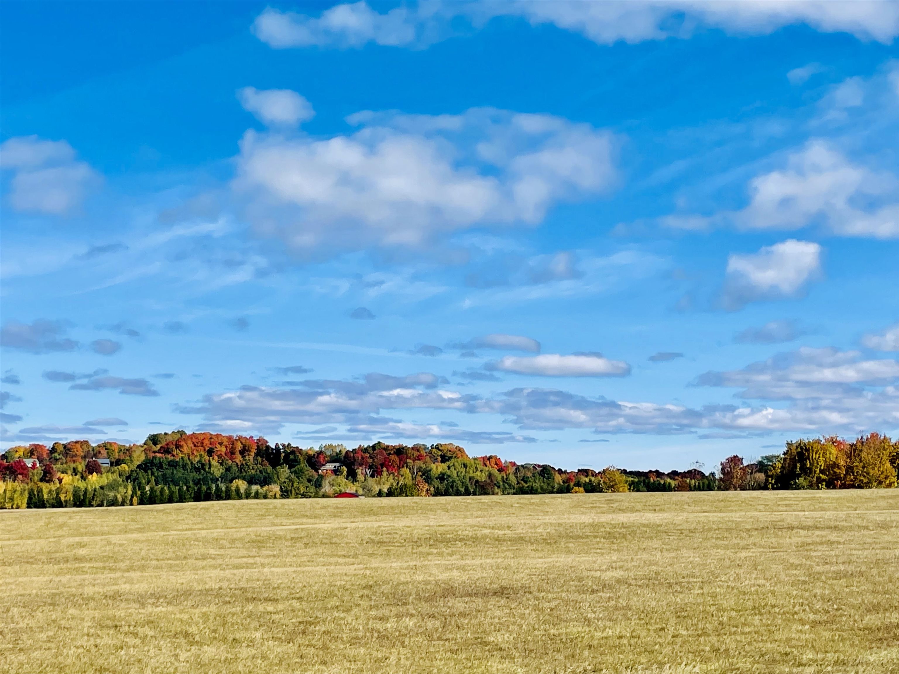 0000 Zawora Road Milton Township MI 49648