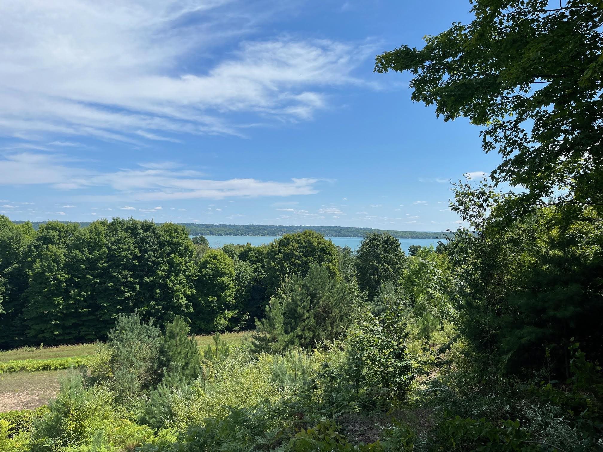 E Hidden Beech Drive Solon Township MI 49621