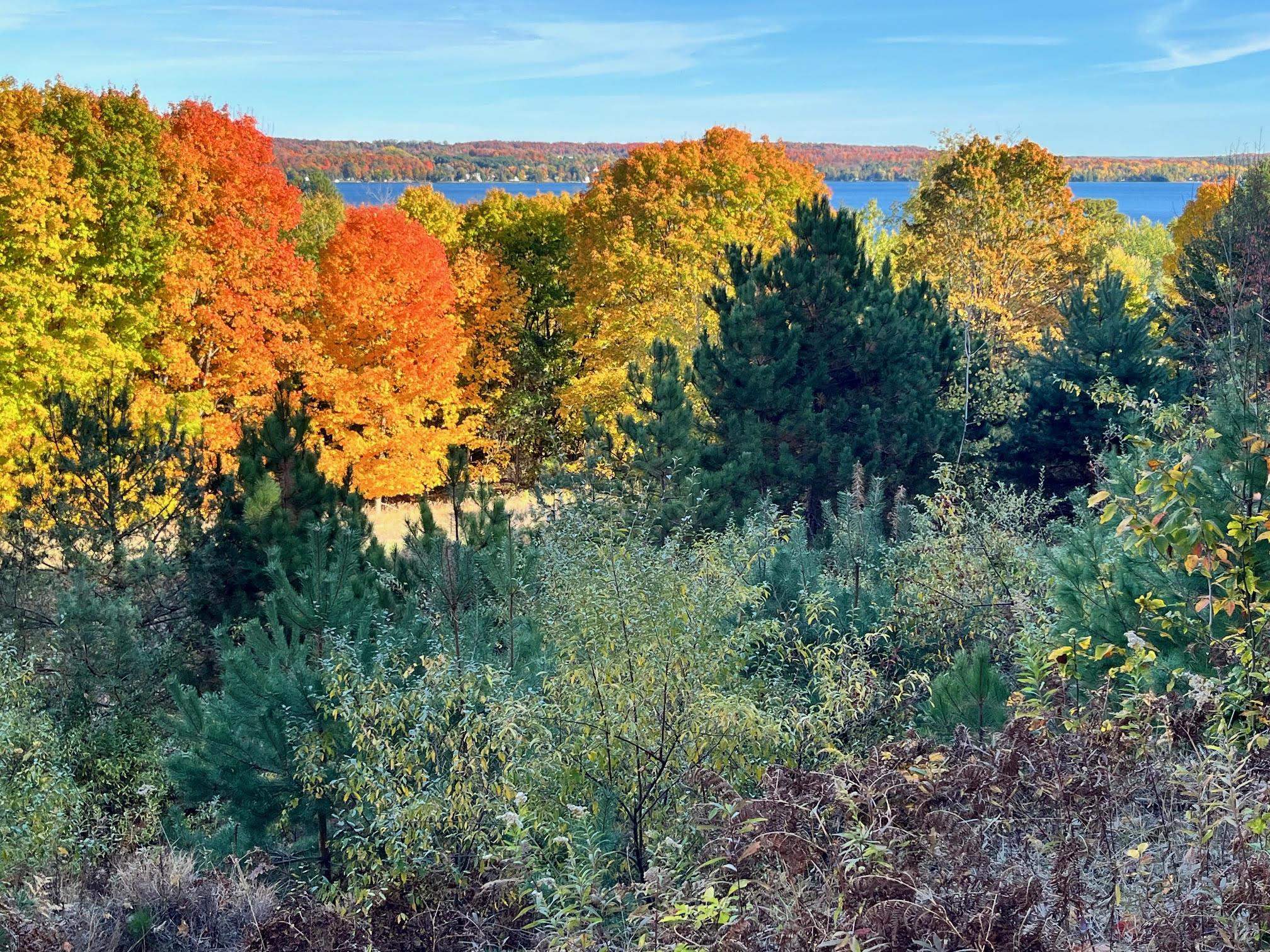 E Hidden Beech Drive Solon Township MI 49621