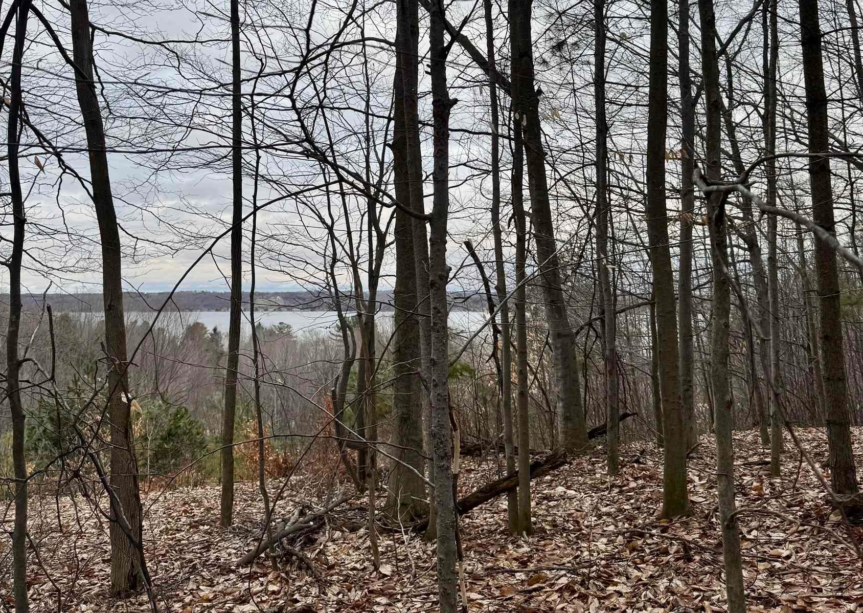 E Hidden Beech Drive Solon Township MI 49621