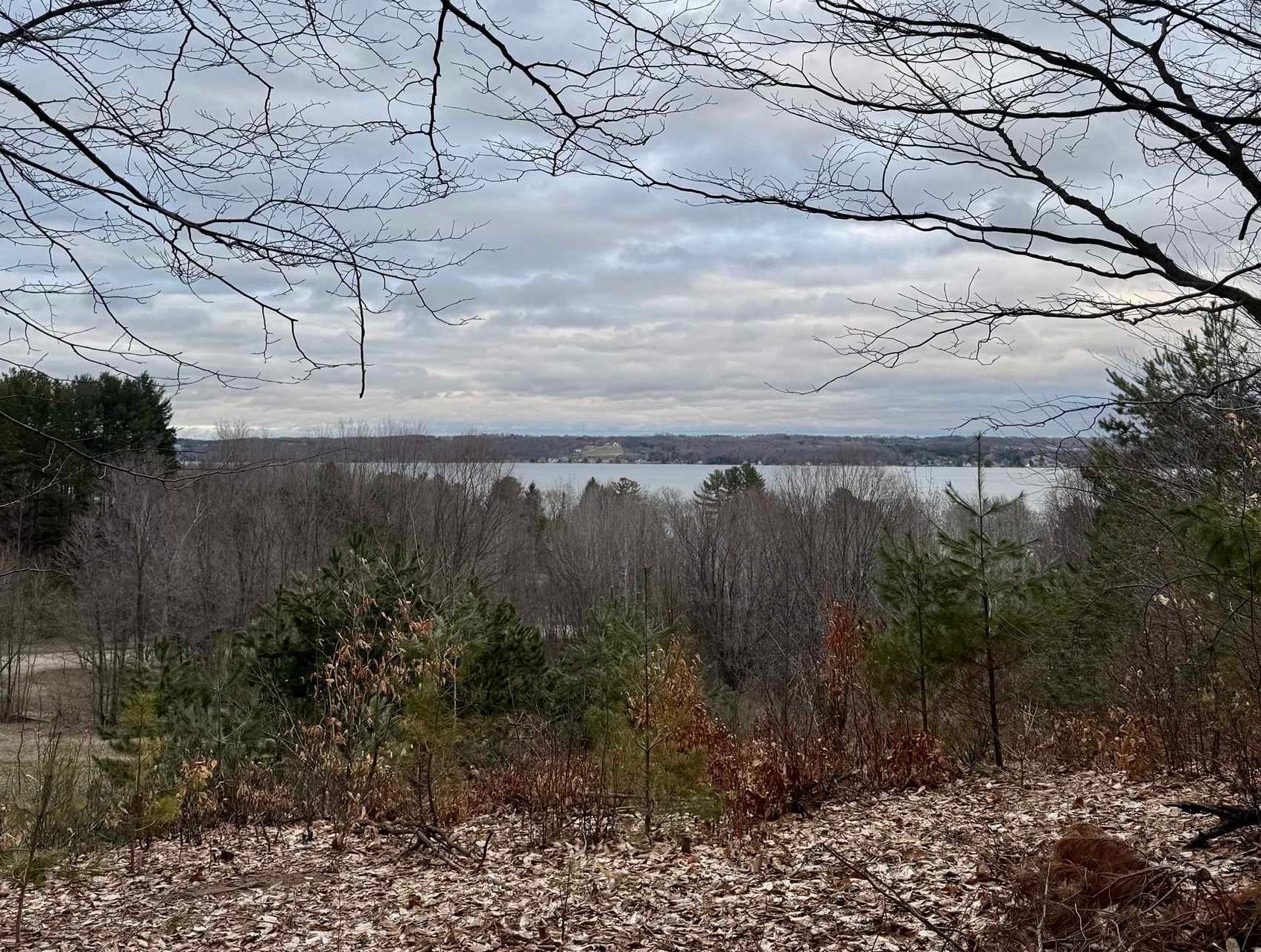 E Hidden Beech Drive Solon Township MI 49621
