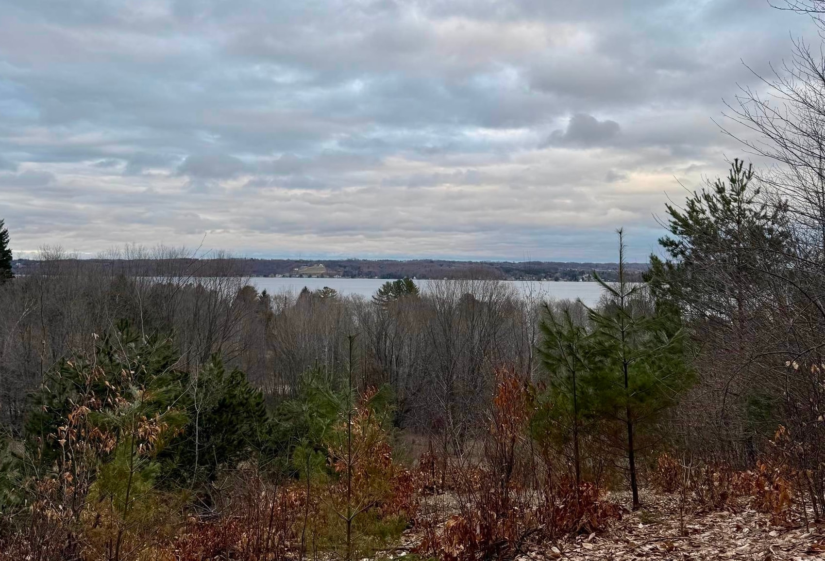 E Hidden Beech Drive Solon Township MI 49621