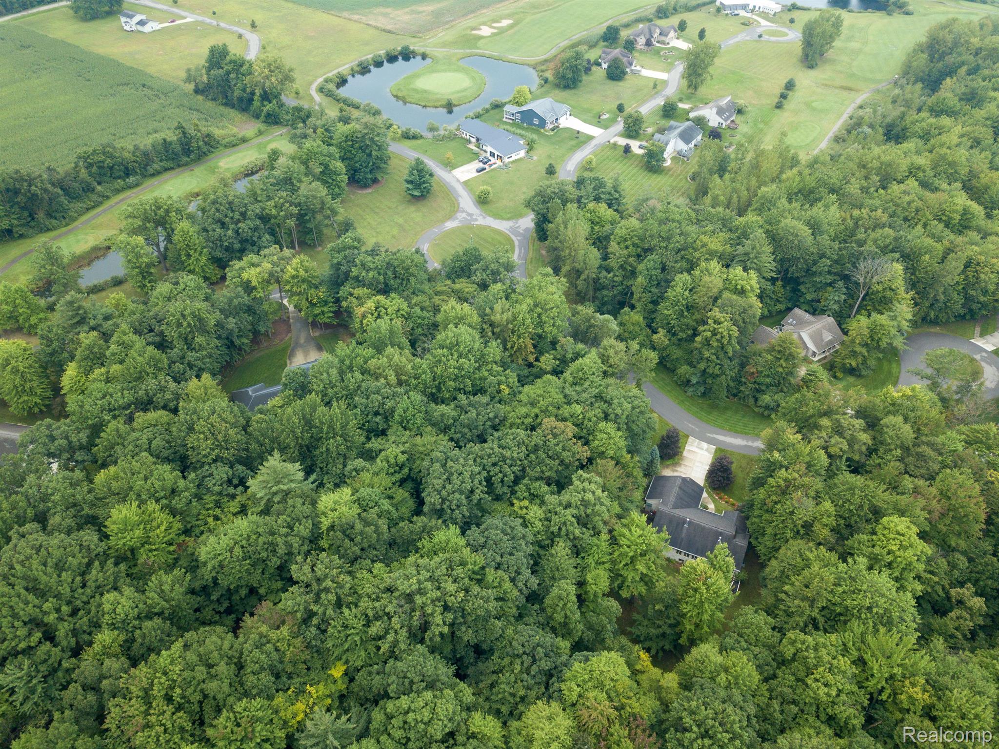 001 Evergreen Trail Vassar Township MI 48768