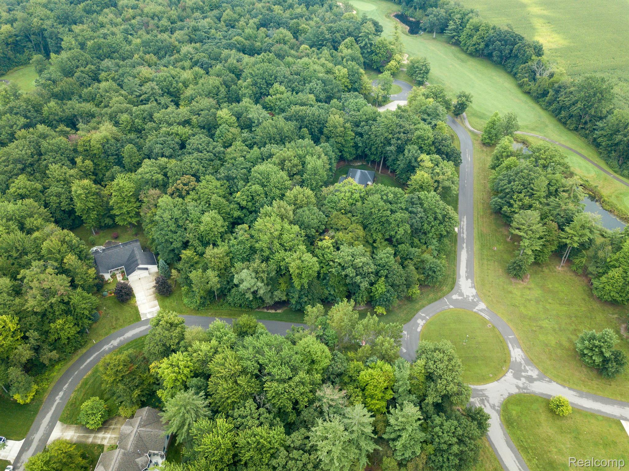 001 Evergreen Trail Vassar Township MI 48768