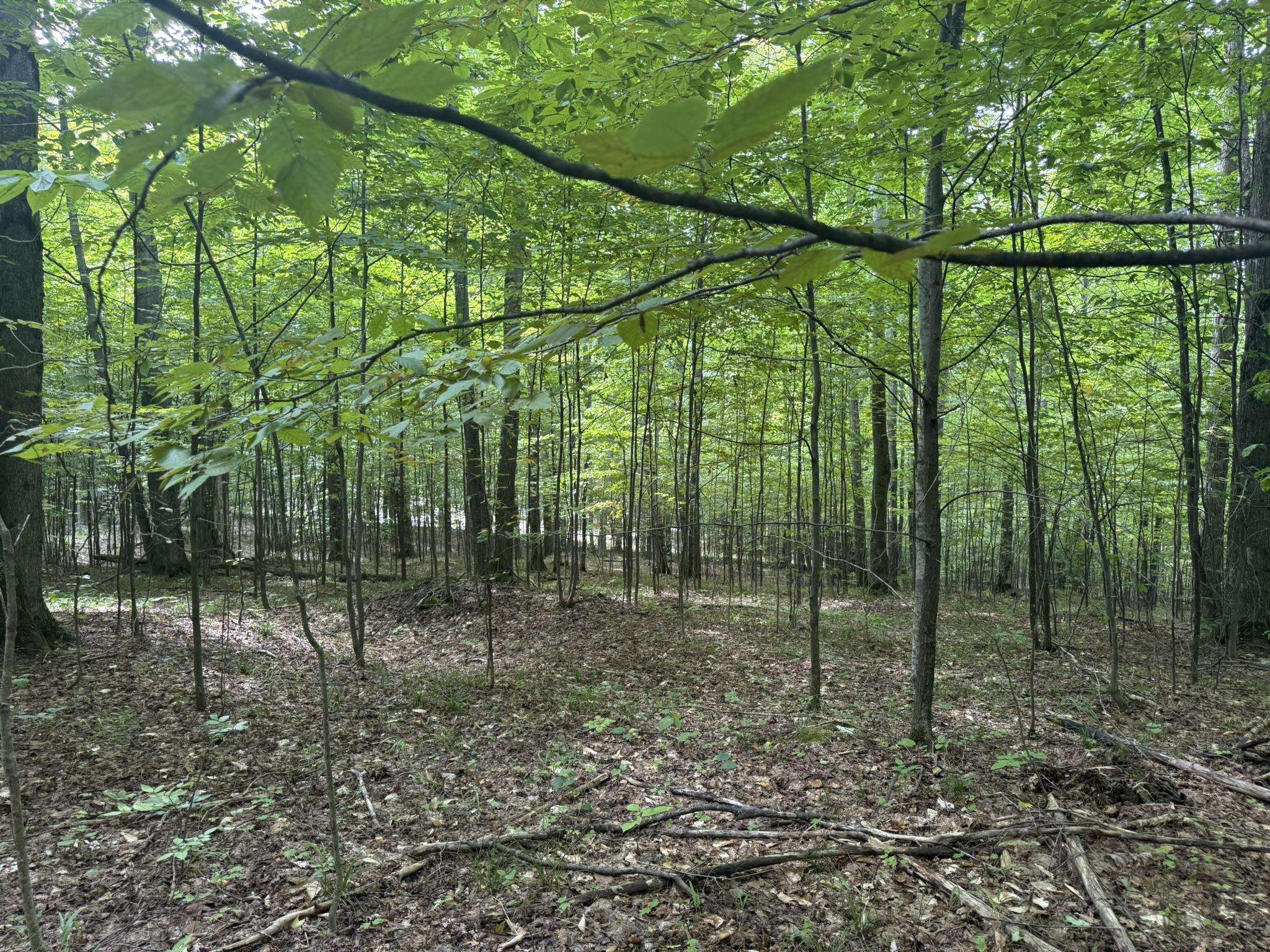 Lot 253 Niblick Court Kearney Township MI 49615