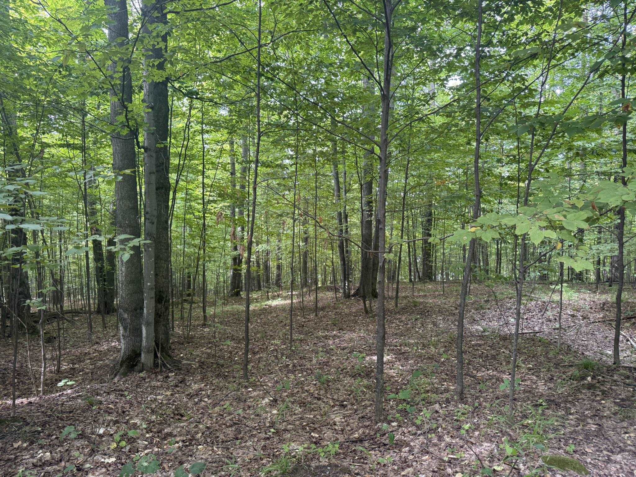 Lot 253 Niblick Court Kearney Township MI 49615
