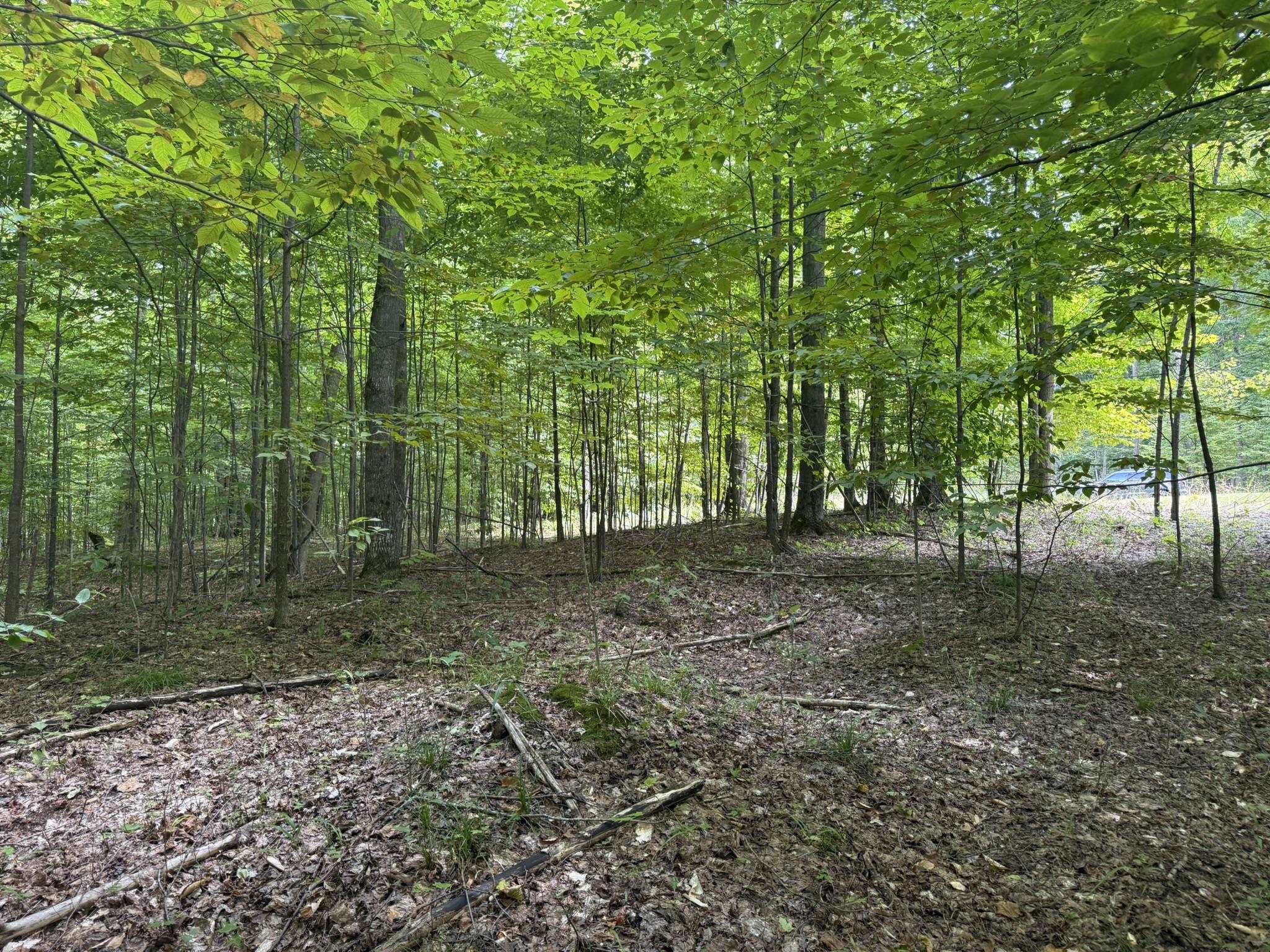 Lot 253 Niblick Court Kearney Township MI 49615