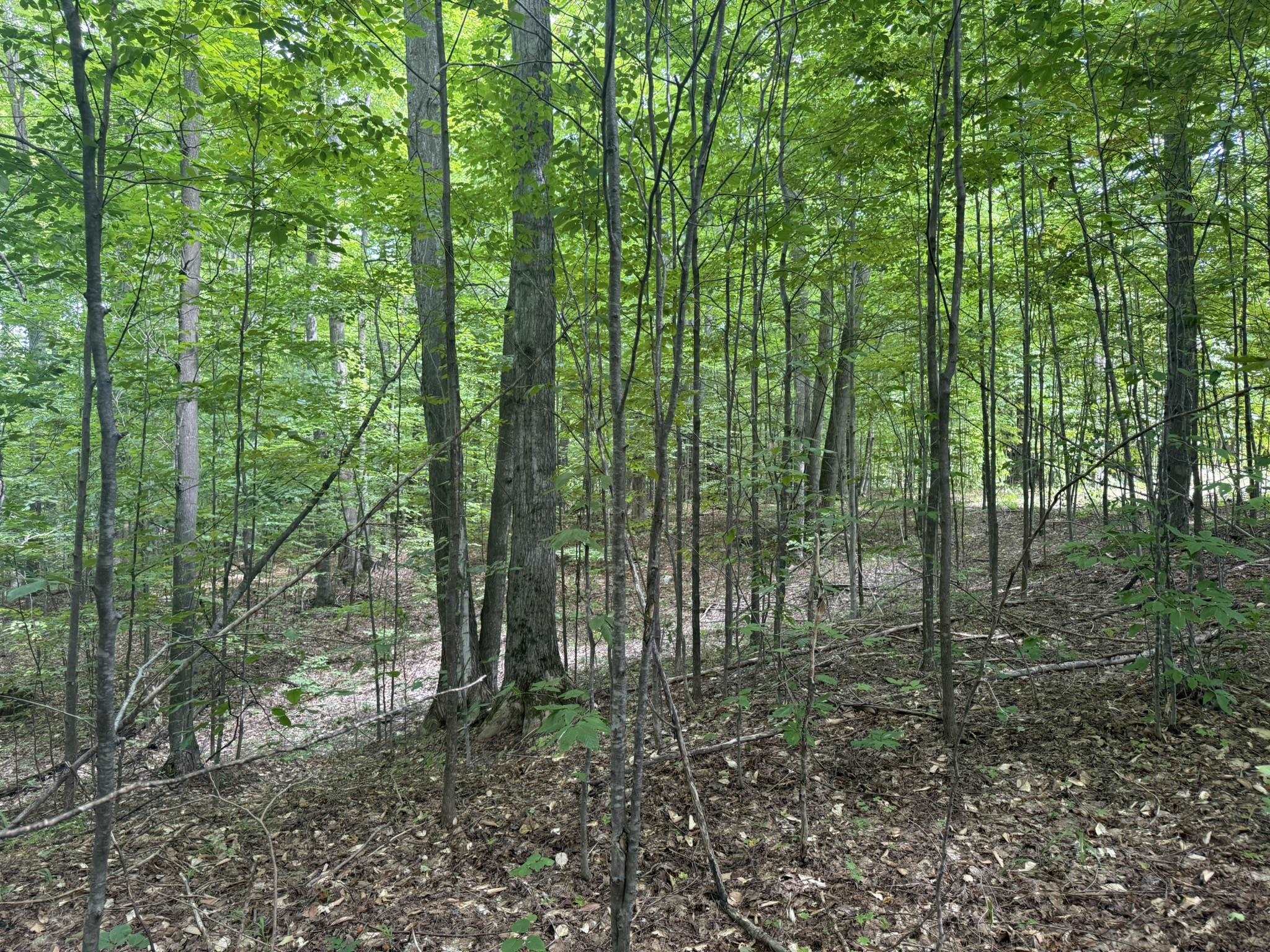 Lot 253 Niblick Court Kearney Township MI 49615