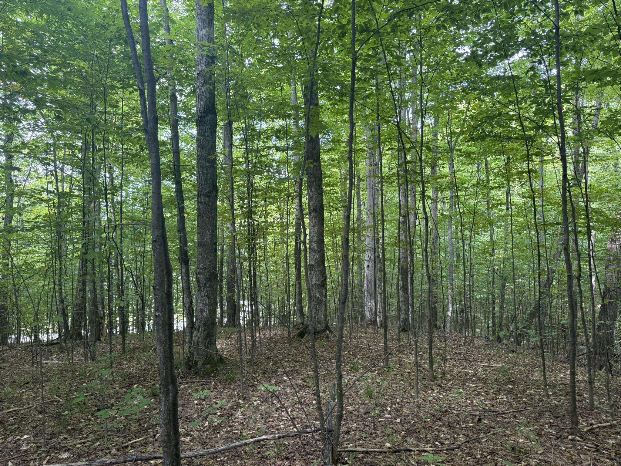 Lot 253 Niblick Court Kearney Township MI 49615