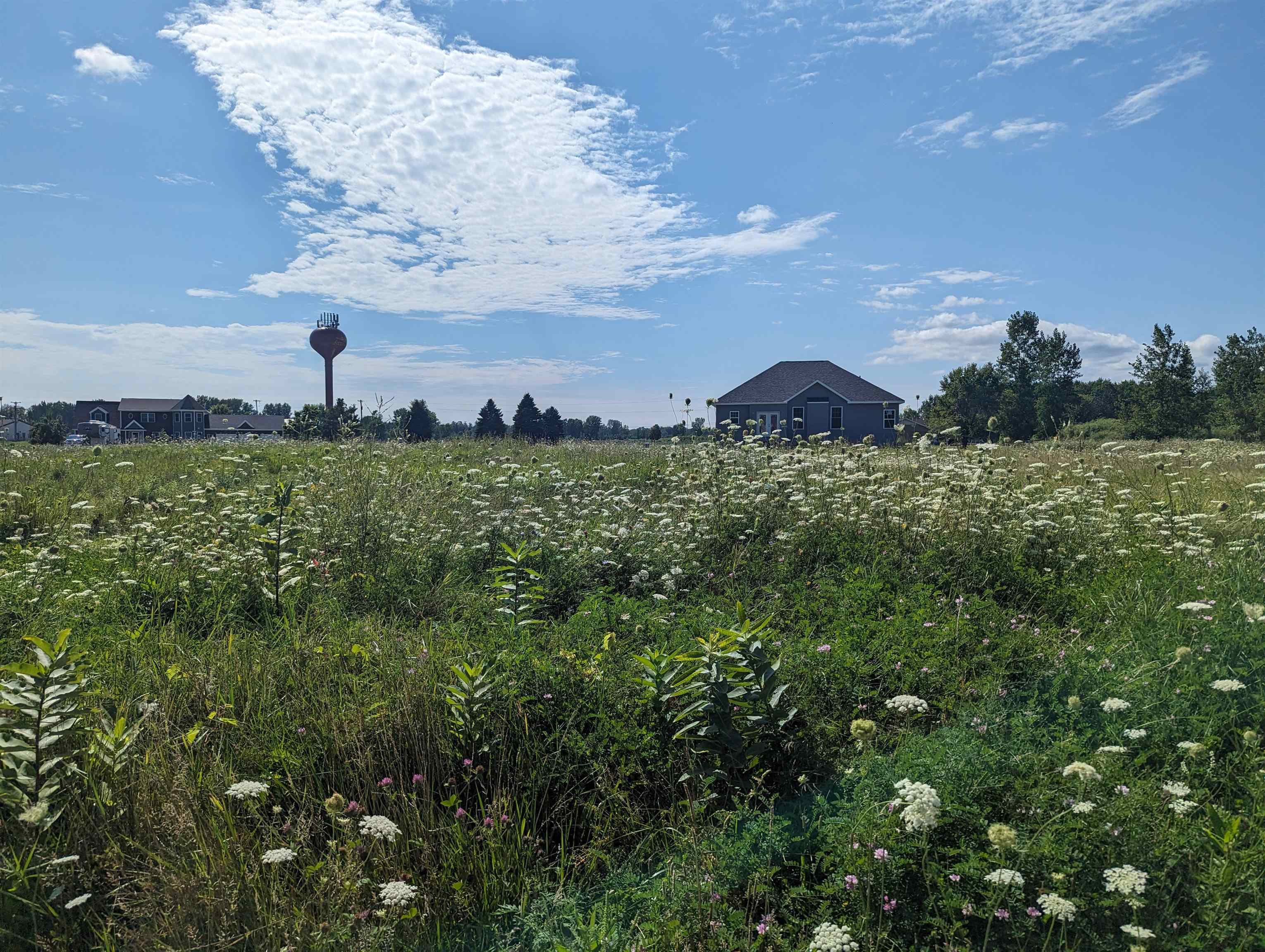 0 S Court Street Au Gres Township MI 48703