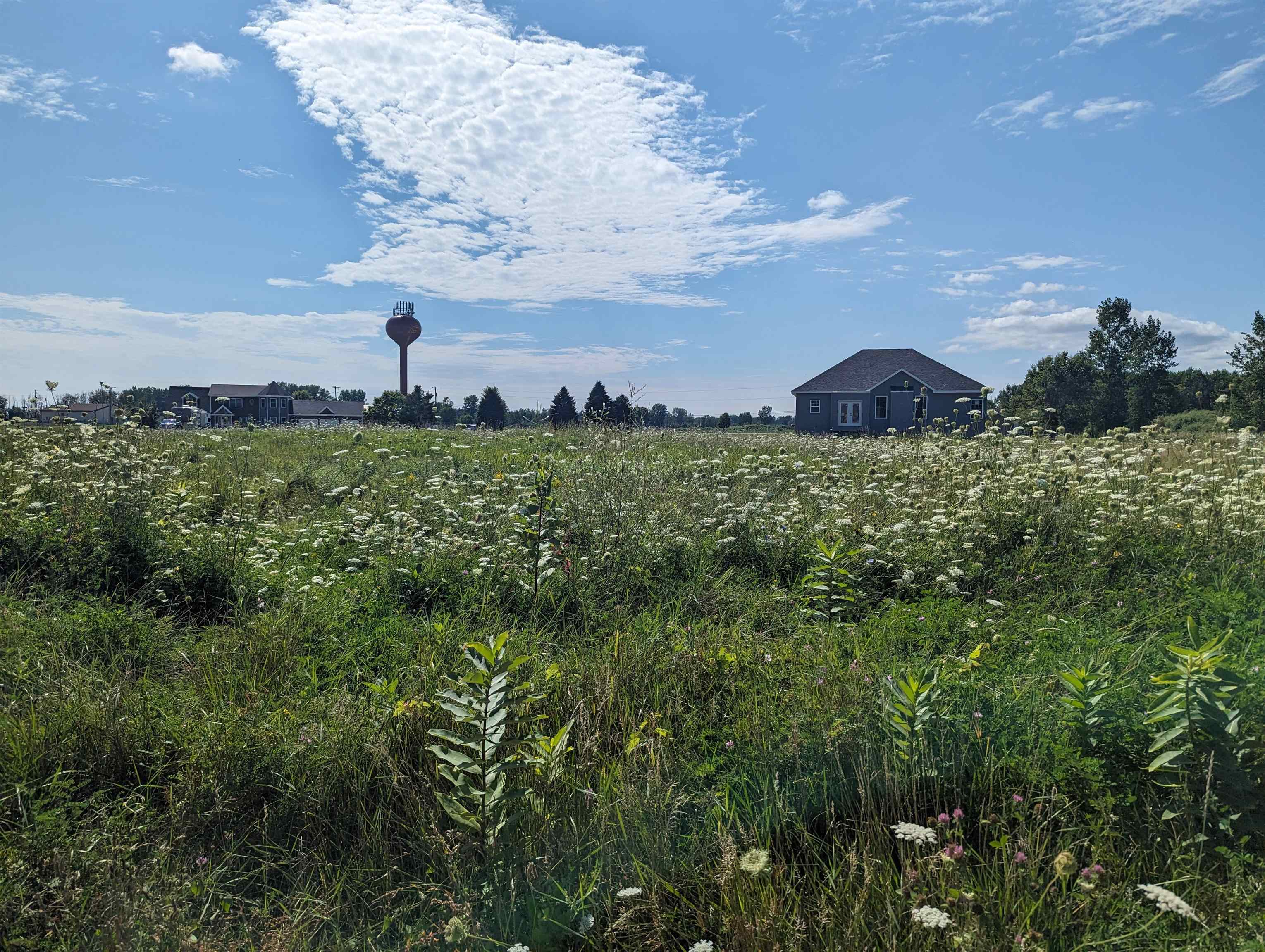 0 S Court Street Au Gres Township MI 48703