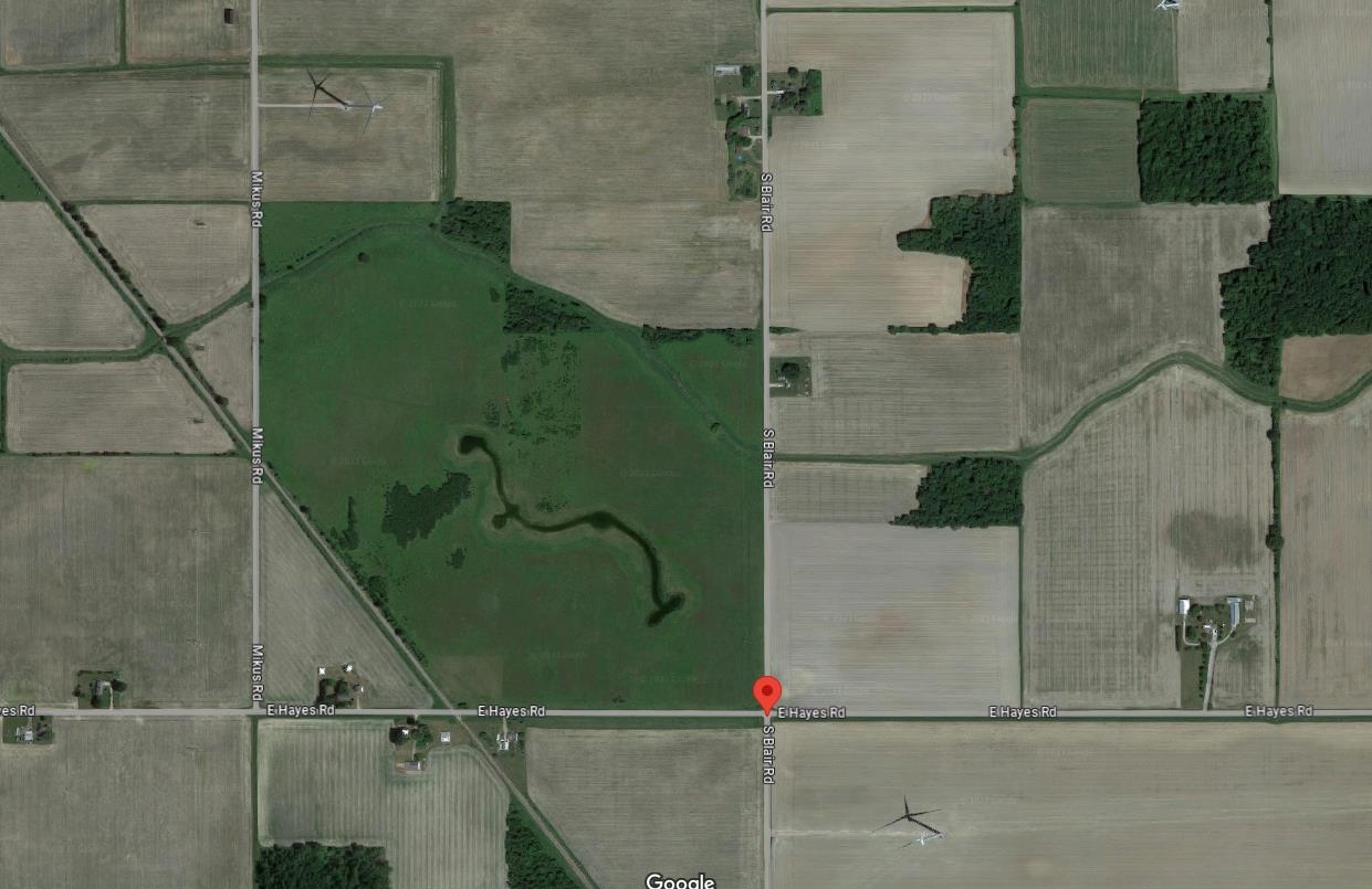 Tbd S Blair Road North Star Township MI 48847