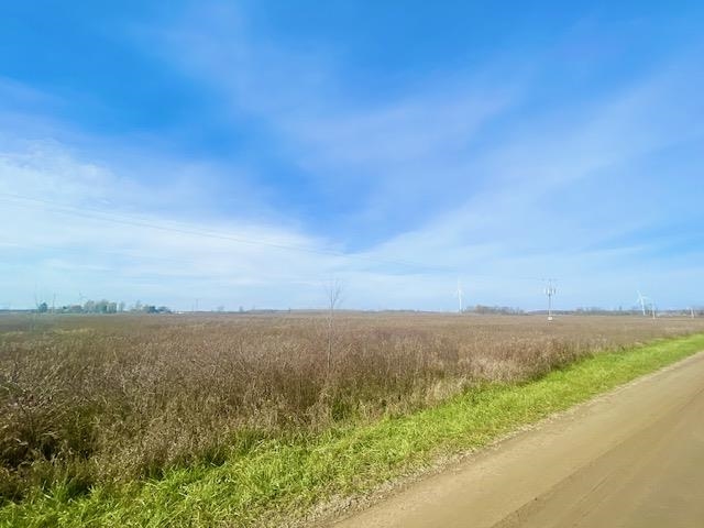 Tbd S Blair Road North Star Township MI 48847