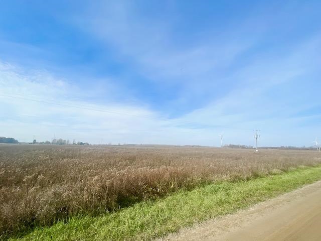 Tbd S Blair Road North Star Township MI 48847