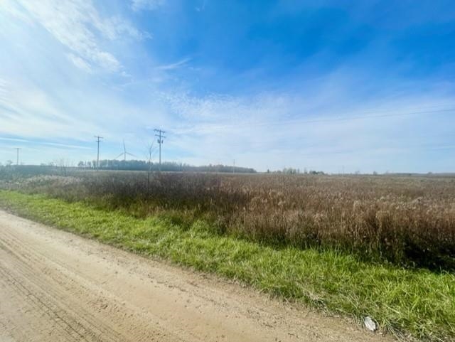 Tbd S Blair Road North Star Township MI 48847
