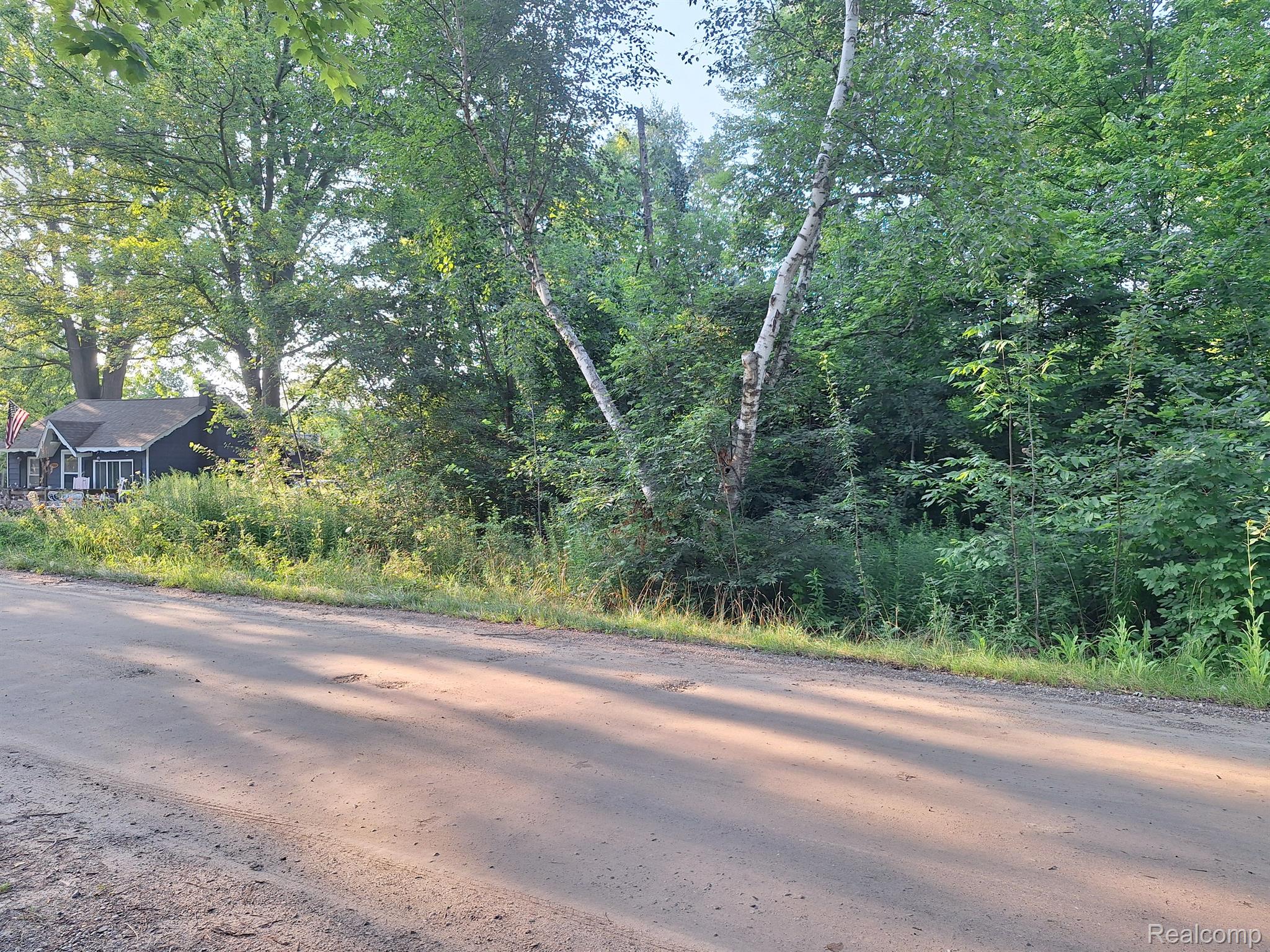 000 Birchwood Road Worth Township MI 48450