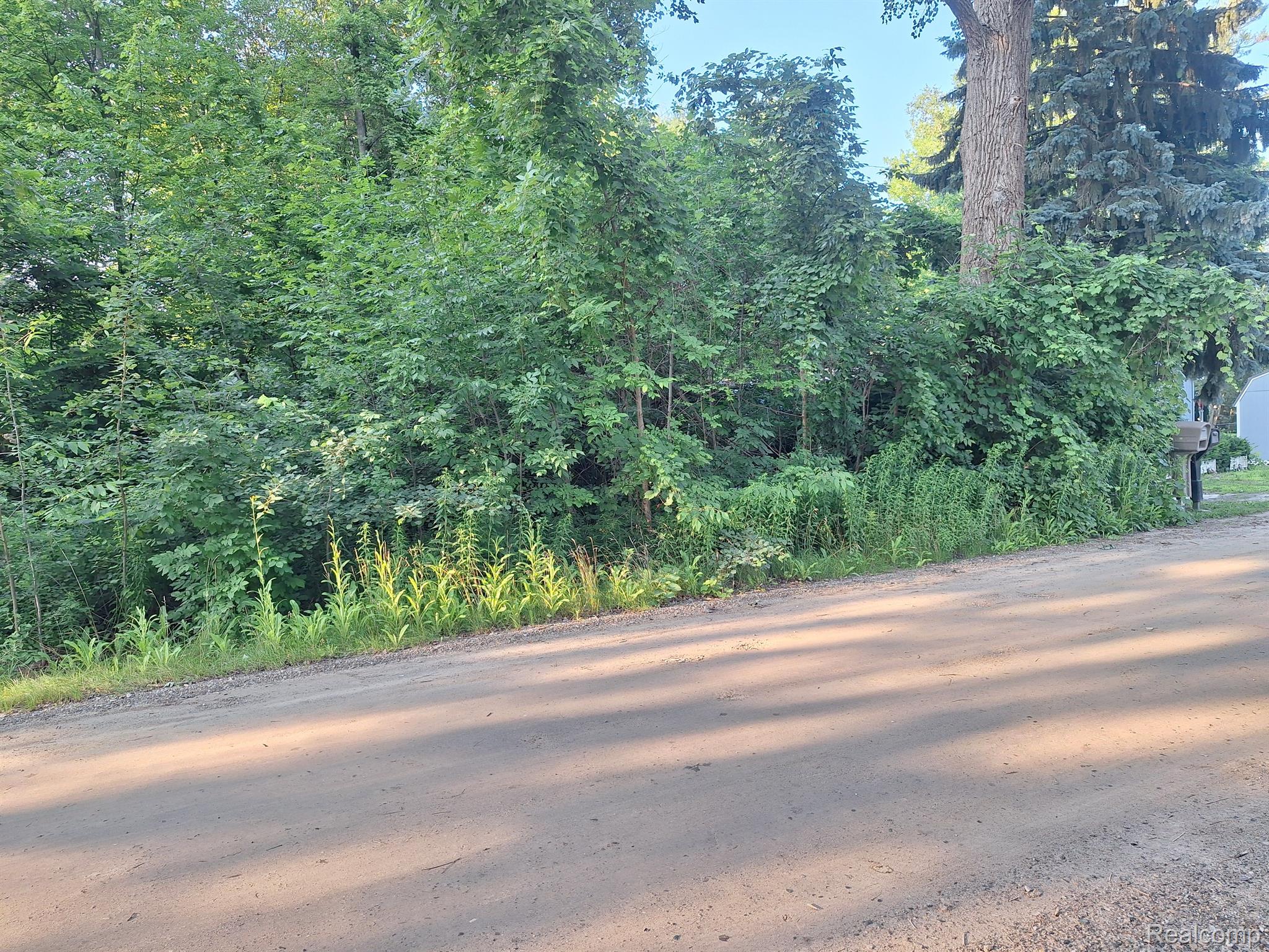 000 Birchwood Road Worth Township MI 48450