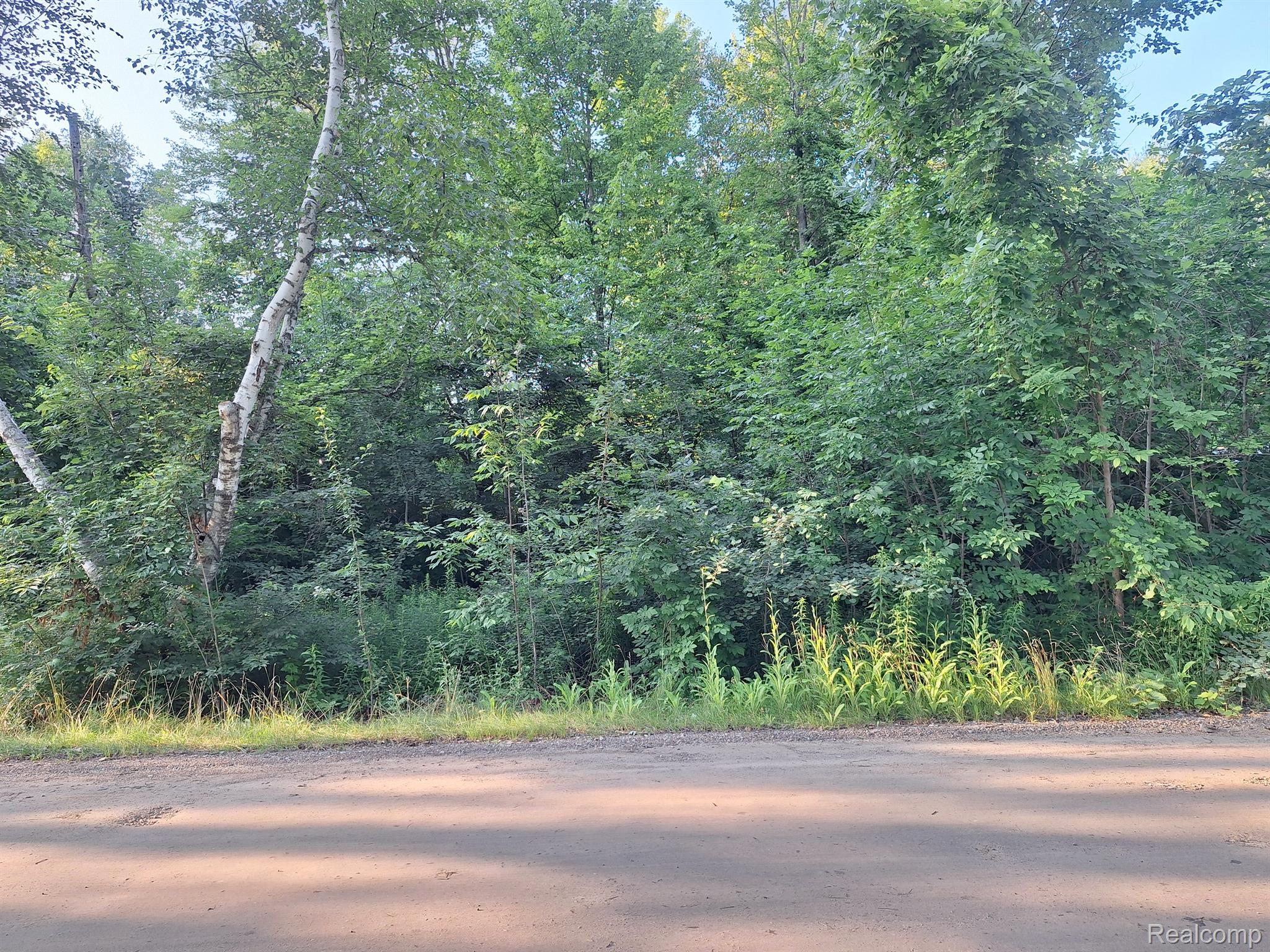 000 Birchwood Road Worth Township MI 48450