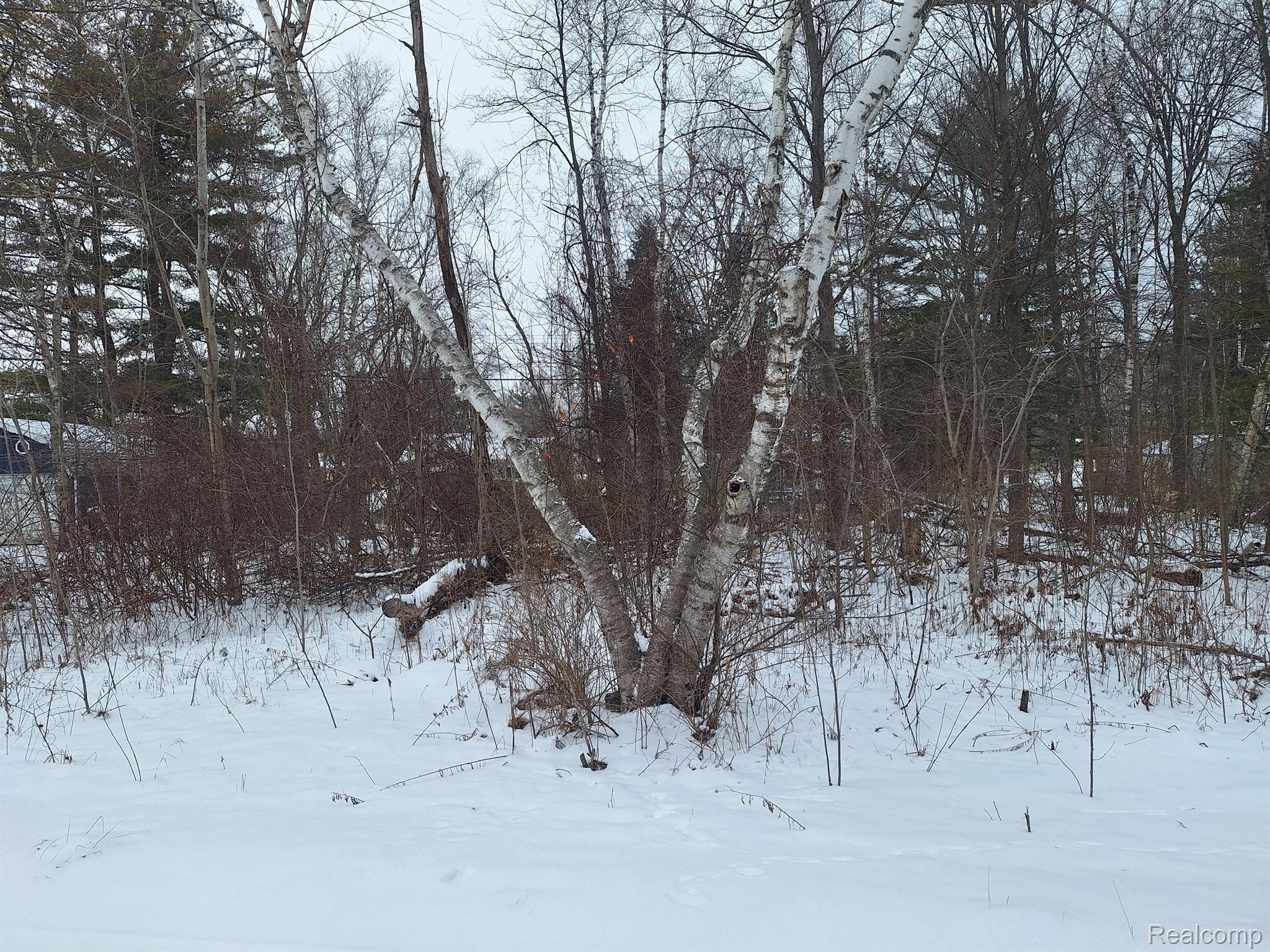 000 Birchwood Road Worth Township MI 48450