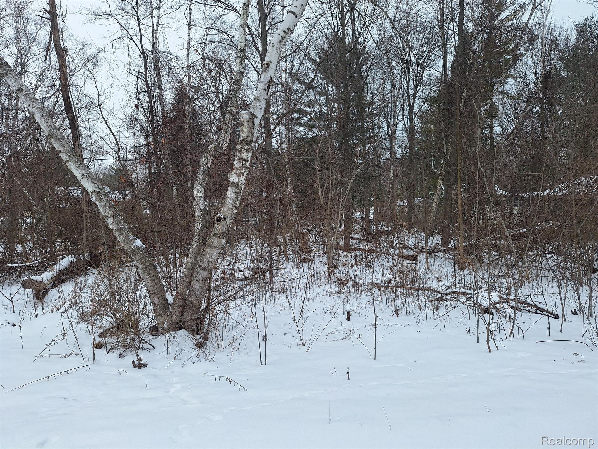 000 Birchwood Road Worth Township MI 48450