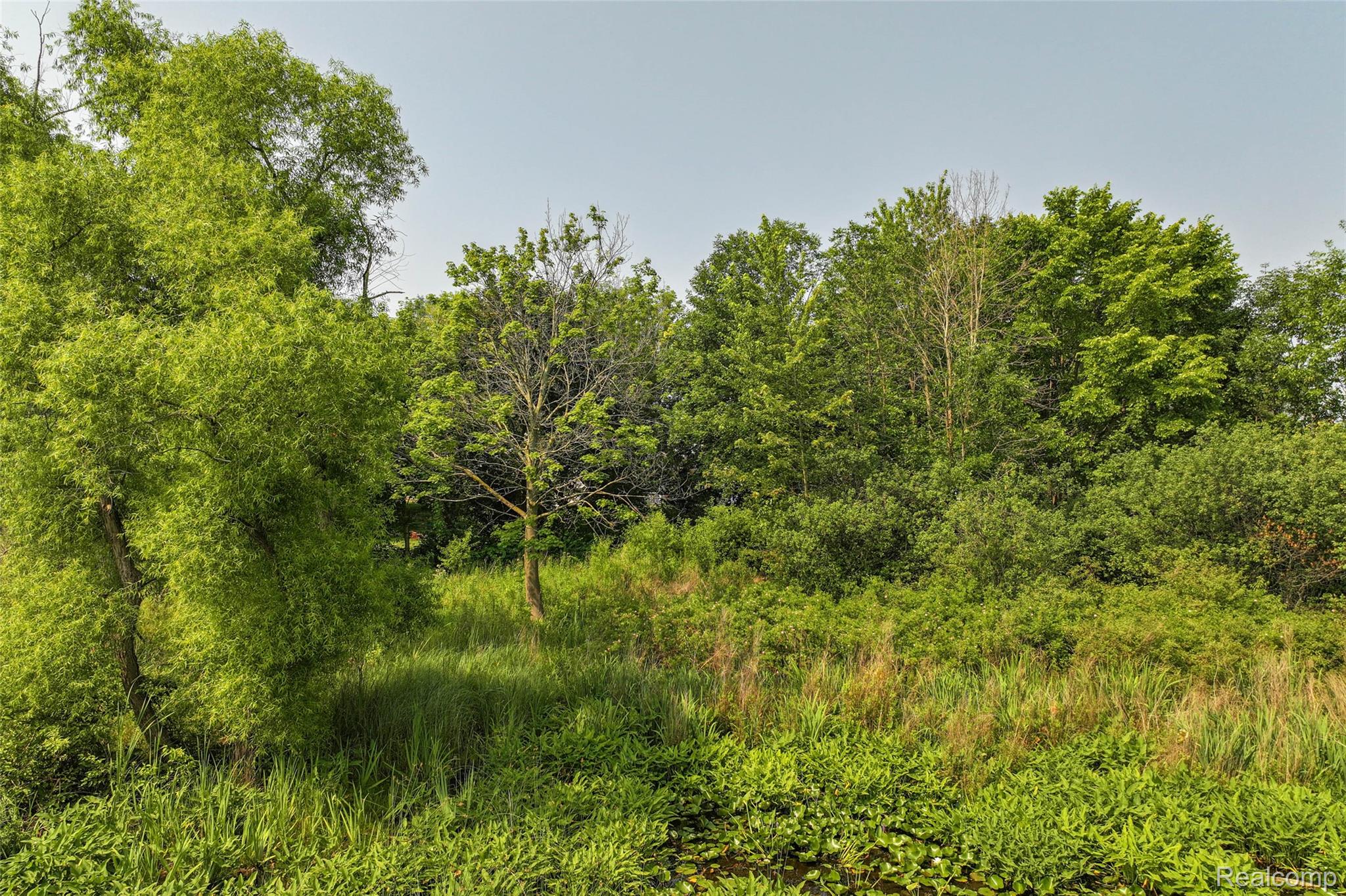 Ville Delphine Drive Holly Village MI 48442