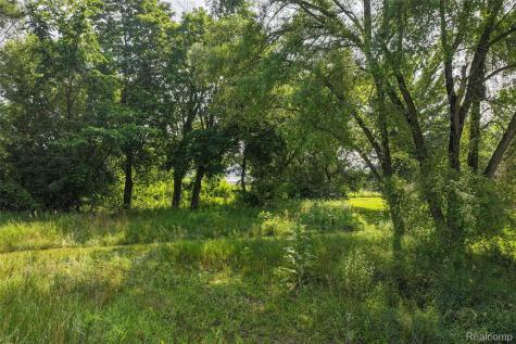 VL Delphine Drive Holly Village MI 48442