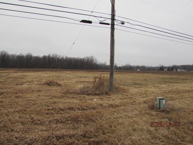 Tbd E Pickard Road Chippewa Township MI 48858