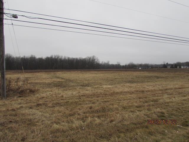 Tbd E Pickard Road Chippewa Township MI 48858