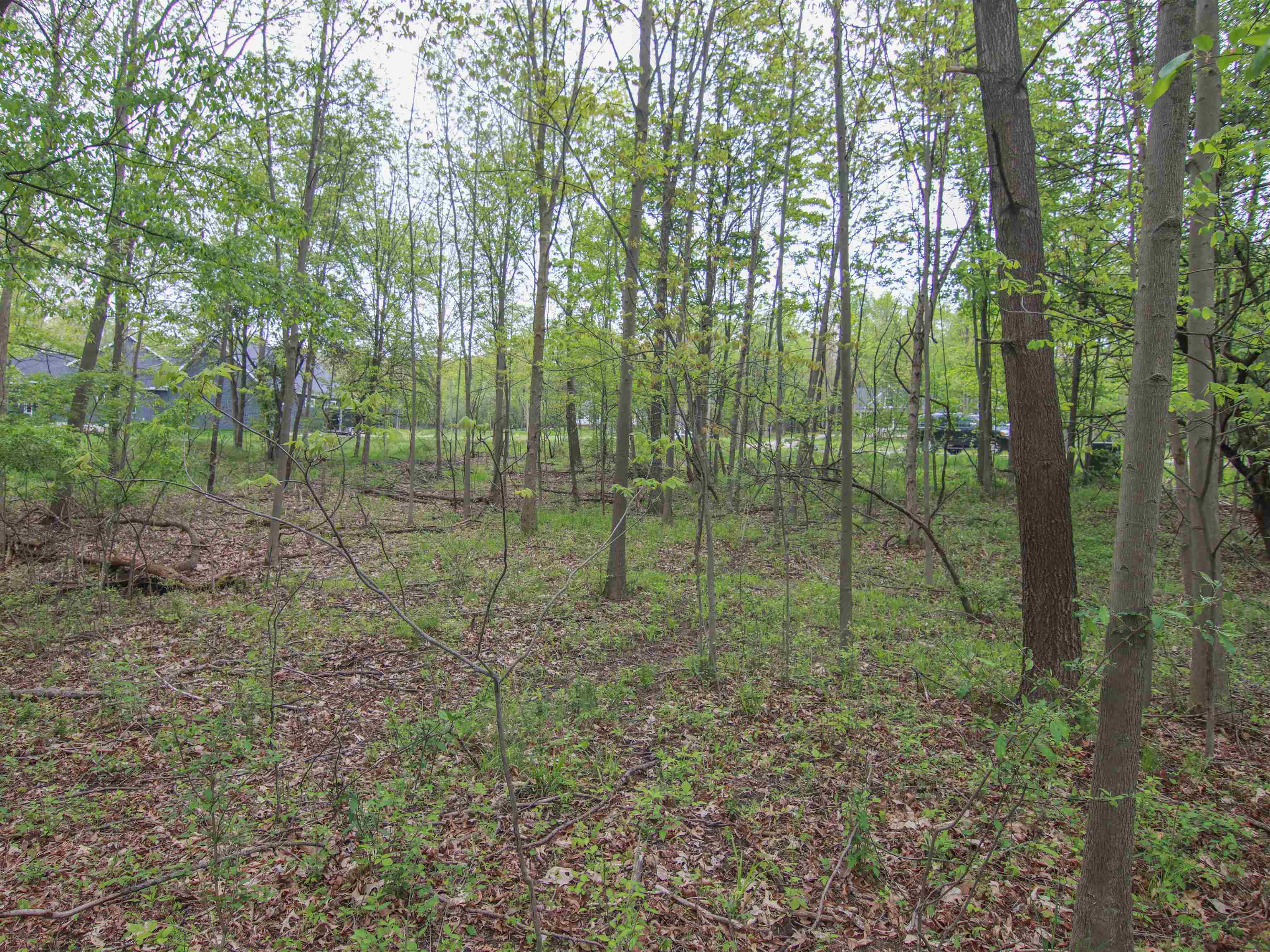 000-UNIT 3 Ledgewood Ravine Trail Tyrone Township MI 48430