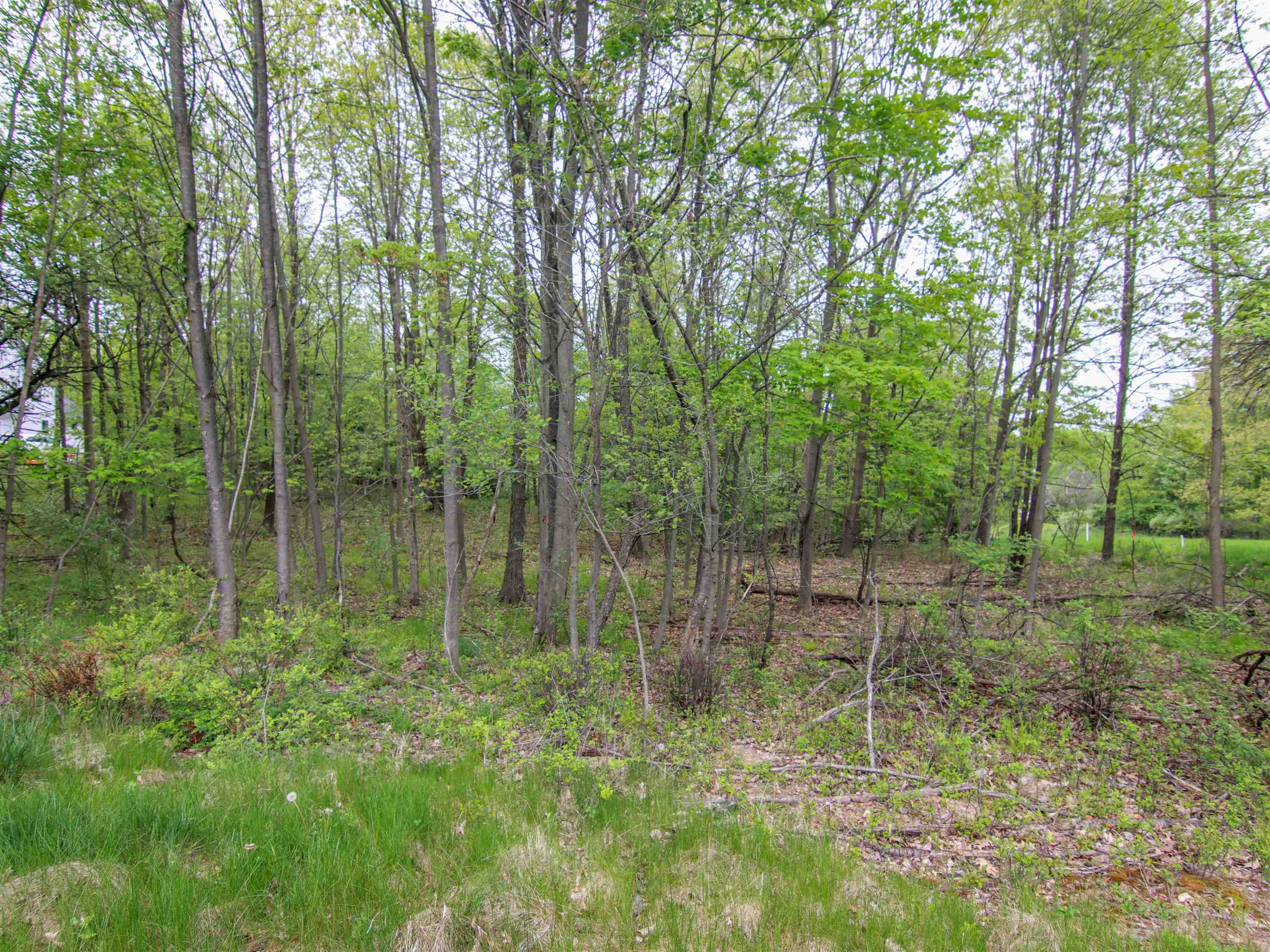 000-UNIT 3 Ledgewood Ravine Trail Tyrone Township MI 48430