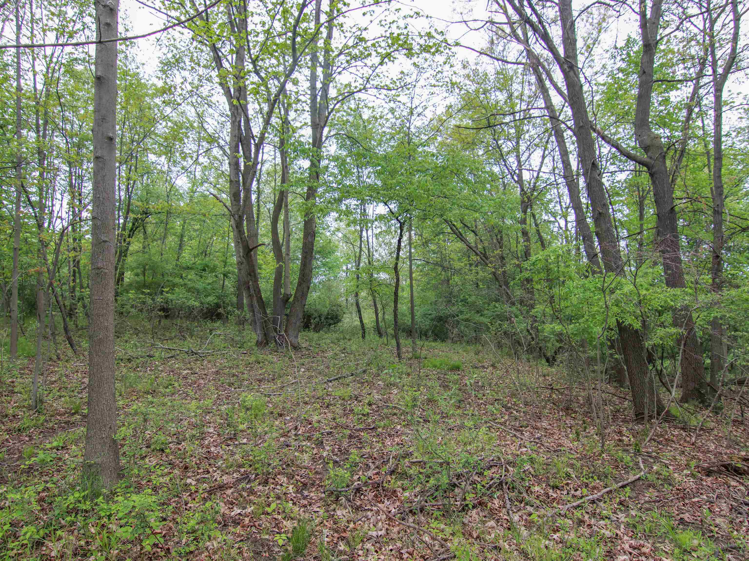 000-UNIT 3 Ledgewood Ravine Trail Tyrone Township MI 48430