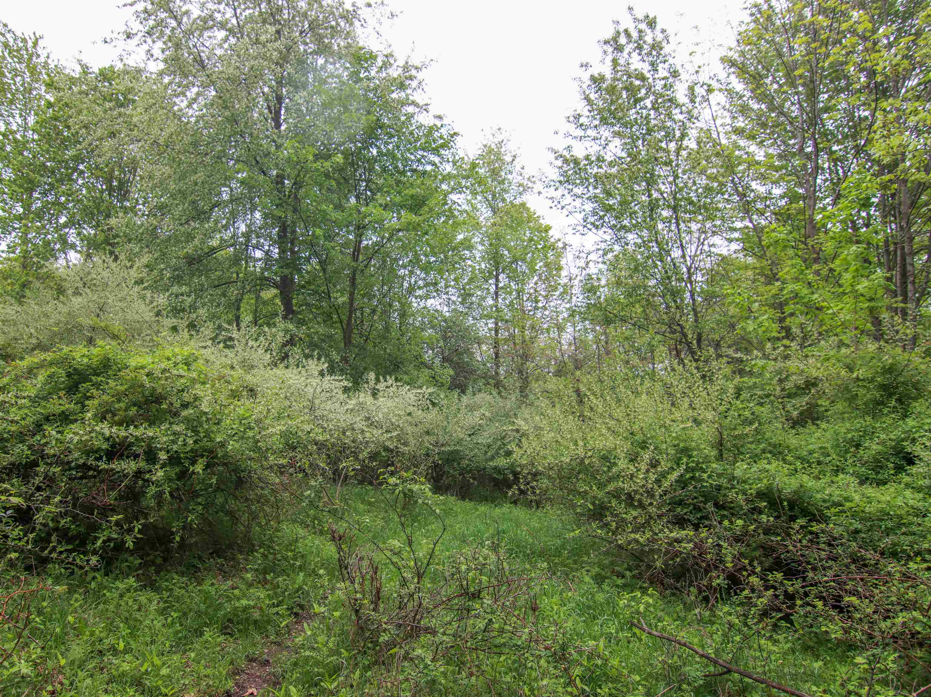 000-UNIT 3 Ledgewood Ravine Trail Tyrone Township MI 48430