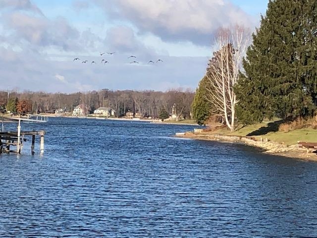 000-UNIT 3 Ledgewood Ravine Trail Tyrone Township MI 48430