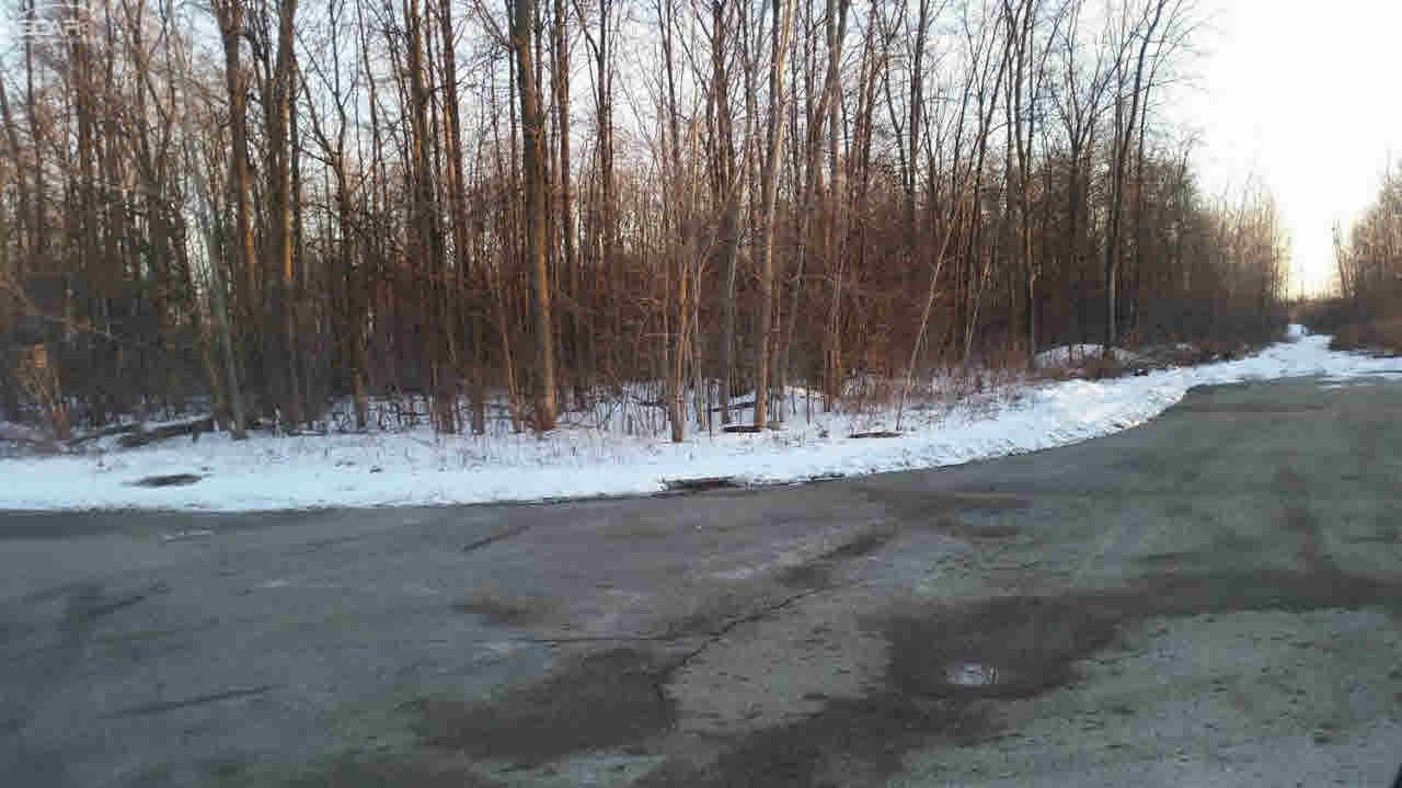 0 Stonebrook Lane Flint Charter Township MI 48433