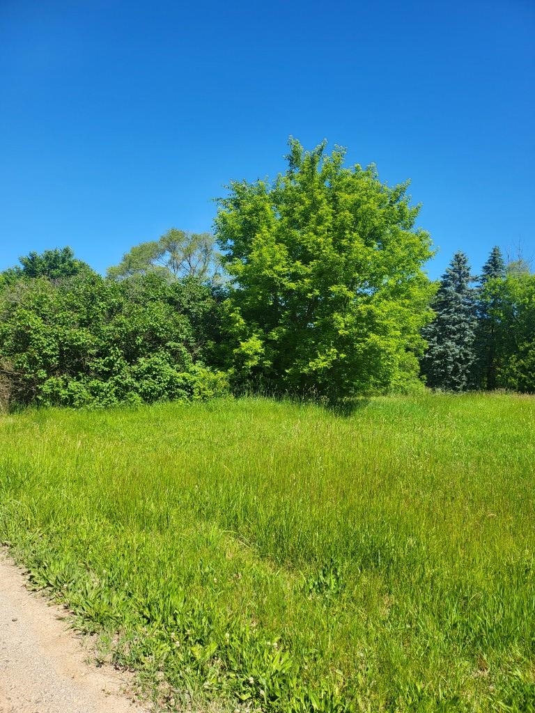 4957 E Valley Road Union Charter Township MI 48858