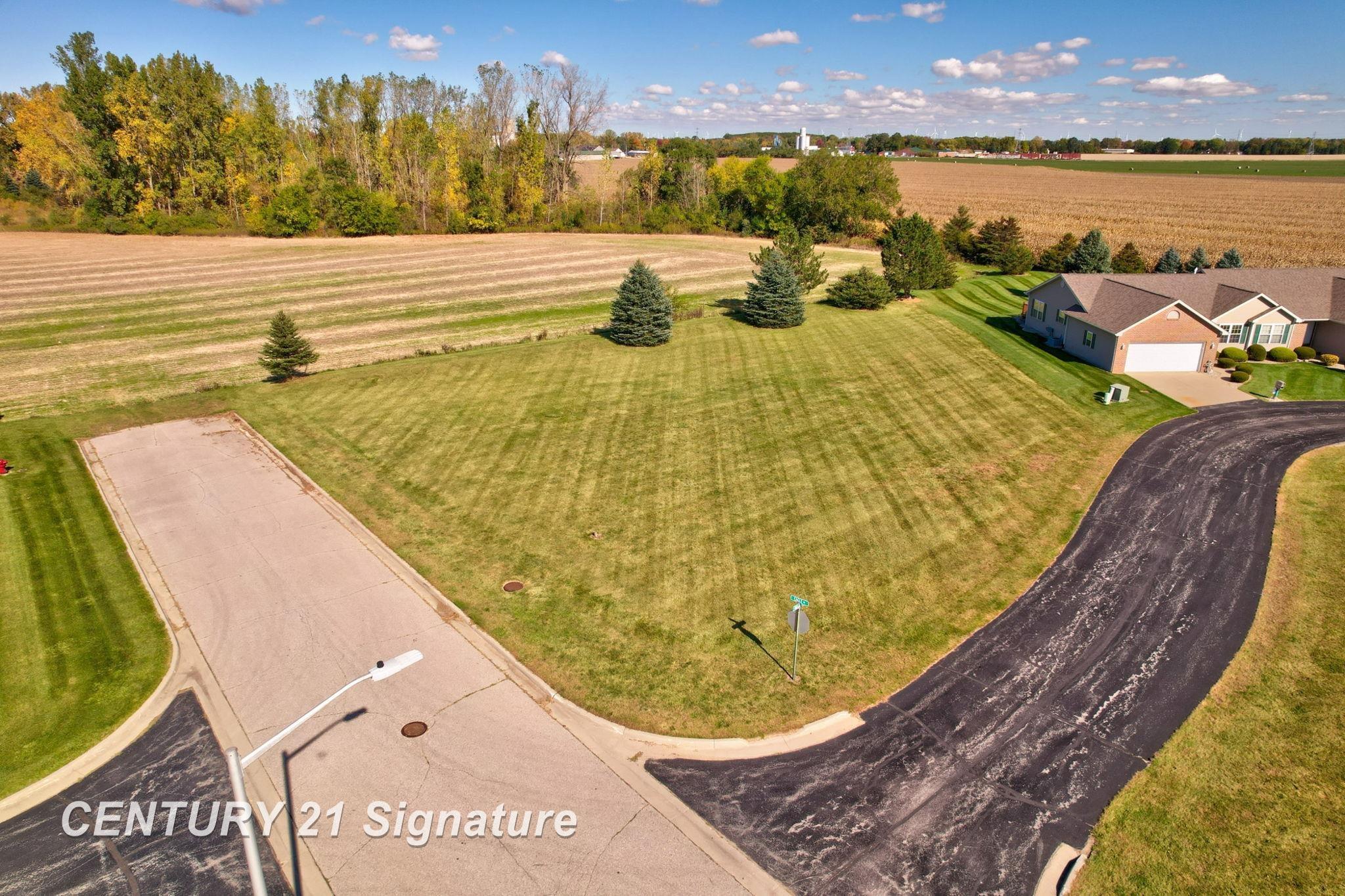 Eagle Drive Reese Village MI 48768