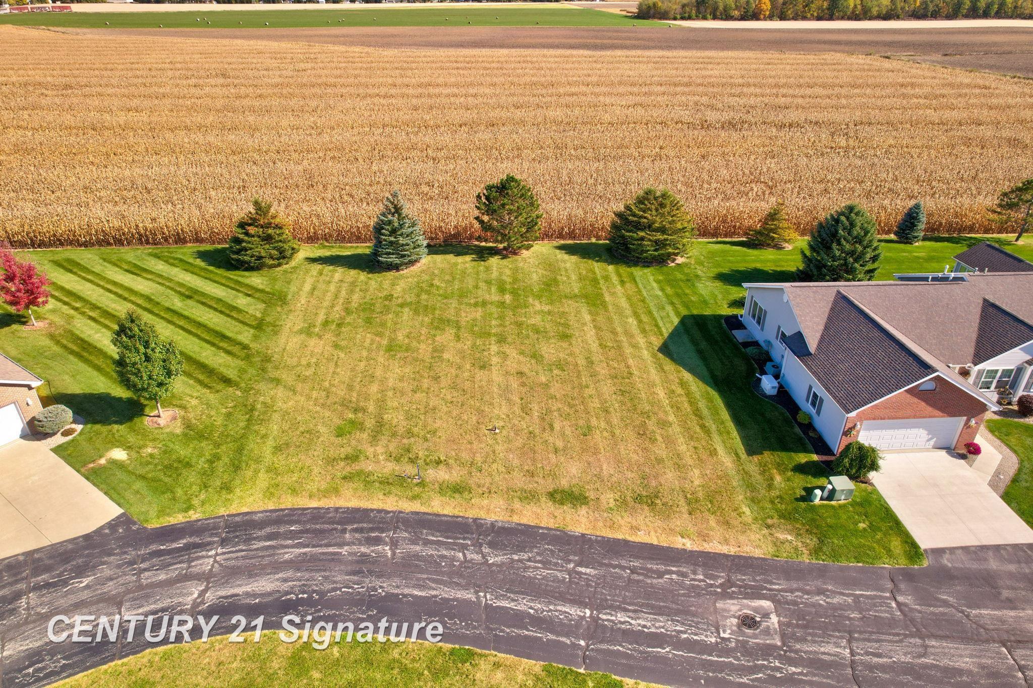 Eagle Drive Reese Village MI 48768