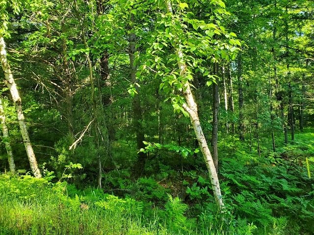 0 Hillside Drive Moffatt Township MI 48610